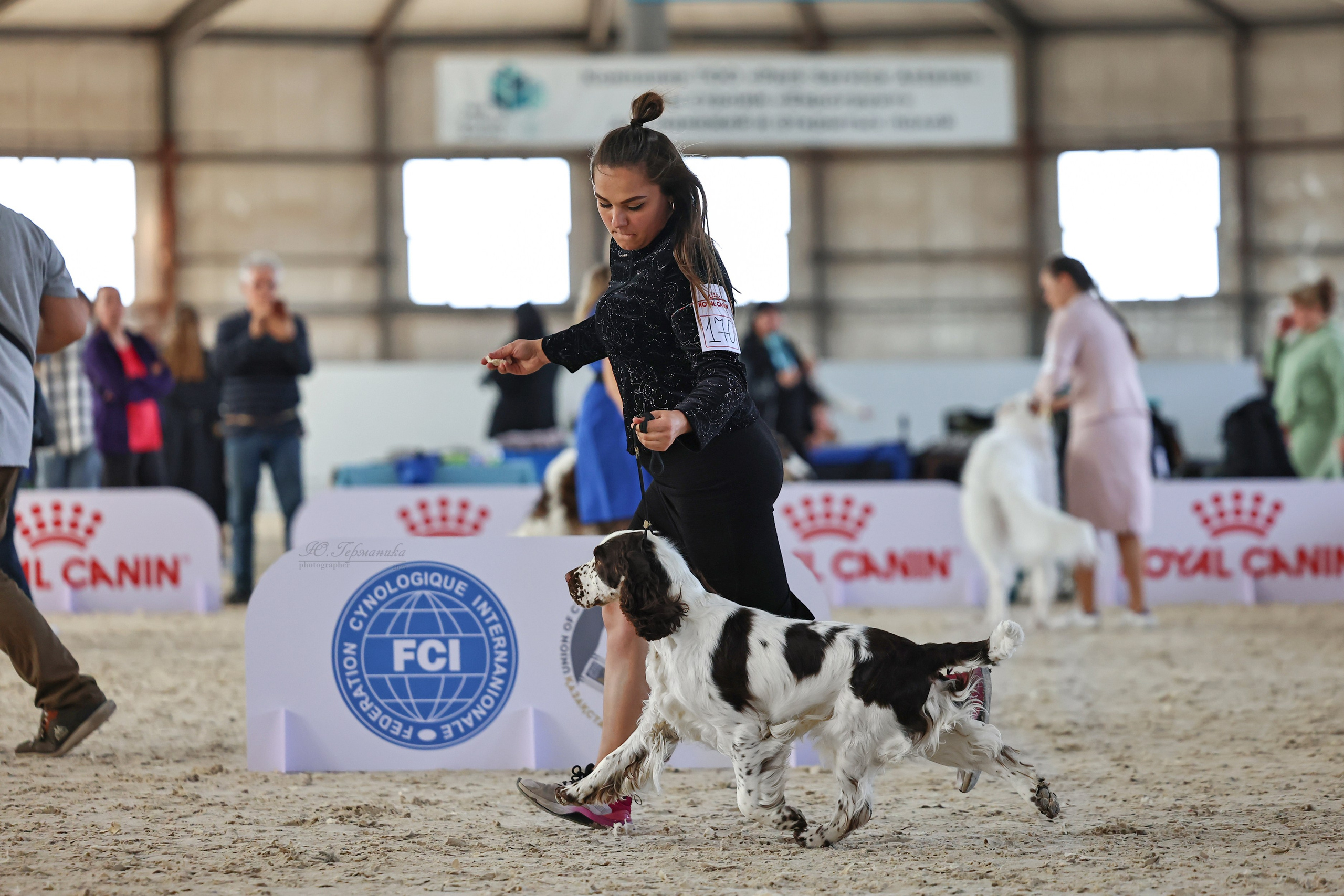 Астана 2хCACIB 26-28.09.2025. Фотограф-анималист Юлия Германика