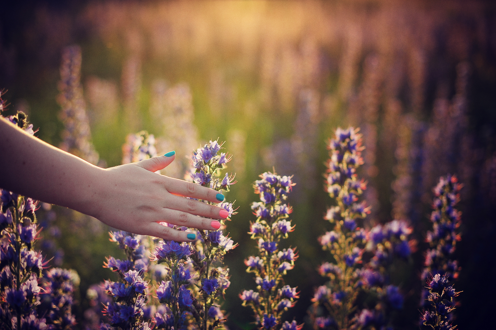 Галина и Василий. Свадебный и семейный фотограф в Новосибирске Александр Счастный