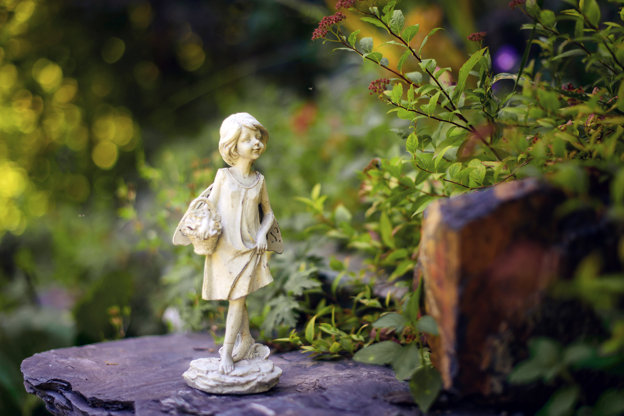 Мария и Данил, свадьба на Алтае. Свадебный и семейный фотограф в Новосибирске Александр Счастный