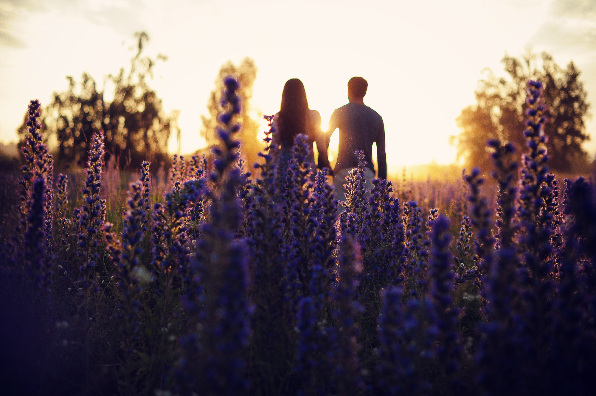 Галина и Василий. Свадебный и семейный фотограф в Новосибирске Александр Счастный