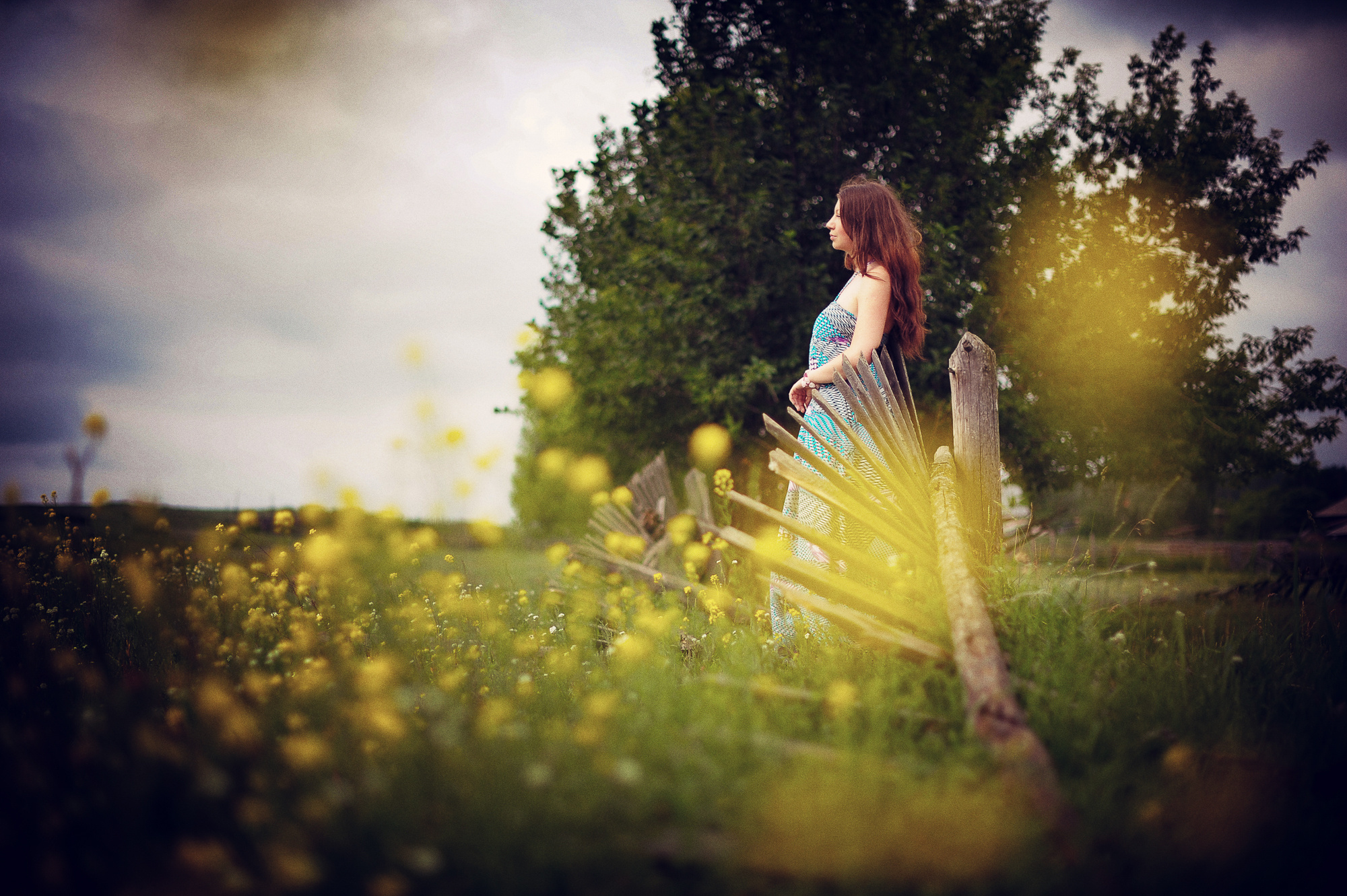 Галина и Василий. Свадебный и семейный фотограф в Новосибирске Александр Счастный