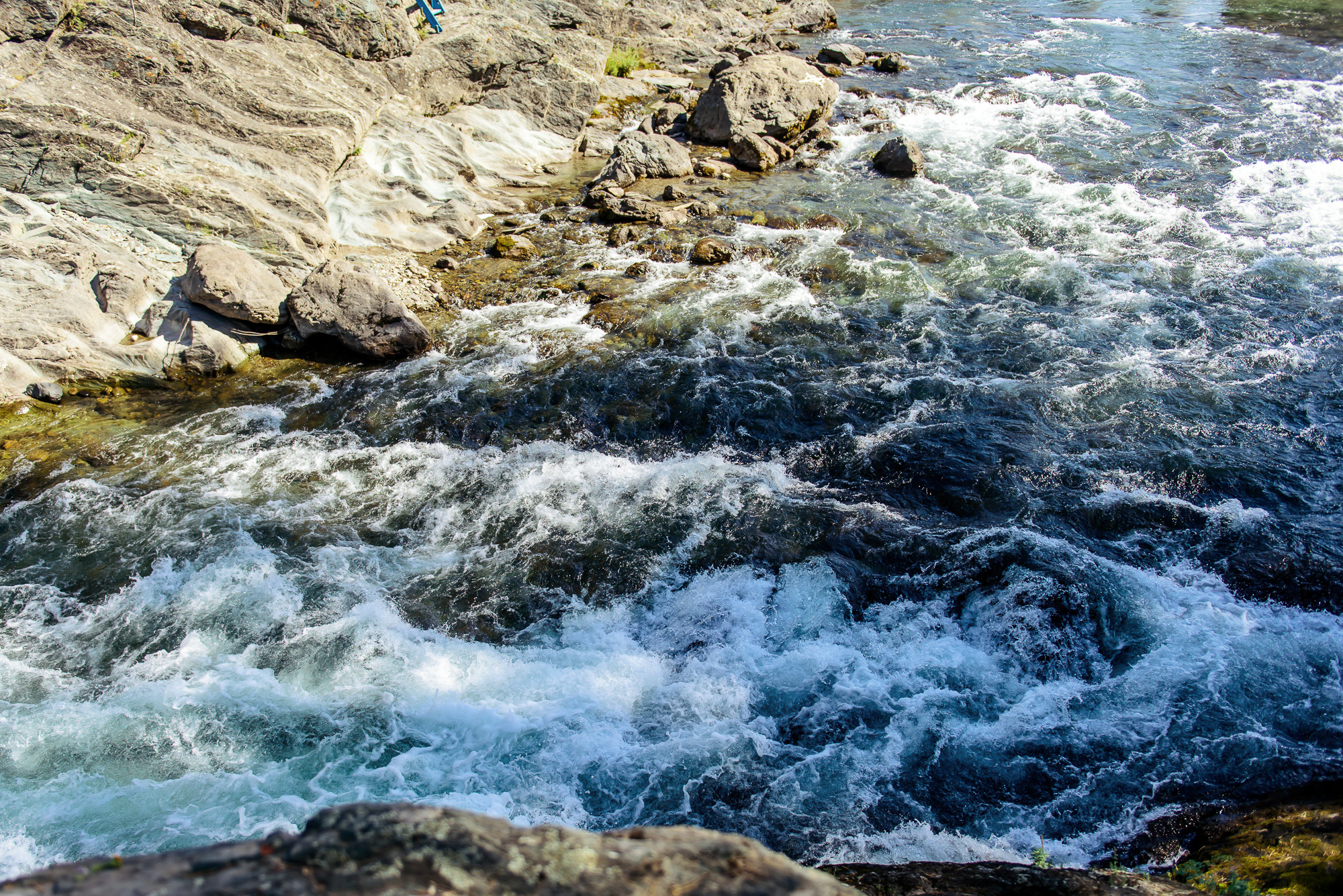 Мария и Данил, свадьба на Алтае. Свадебный и семейный фотограф в Новосибирске Александр Счастный