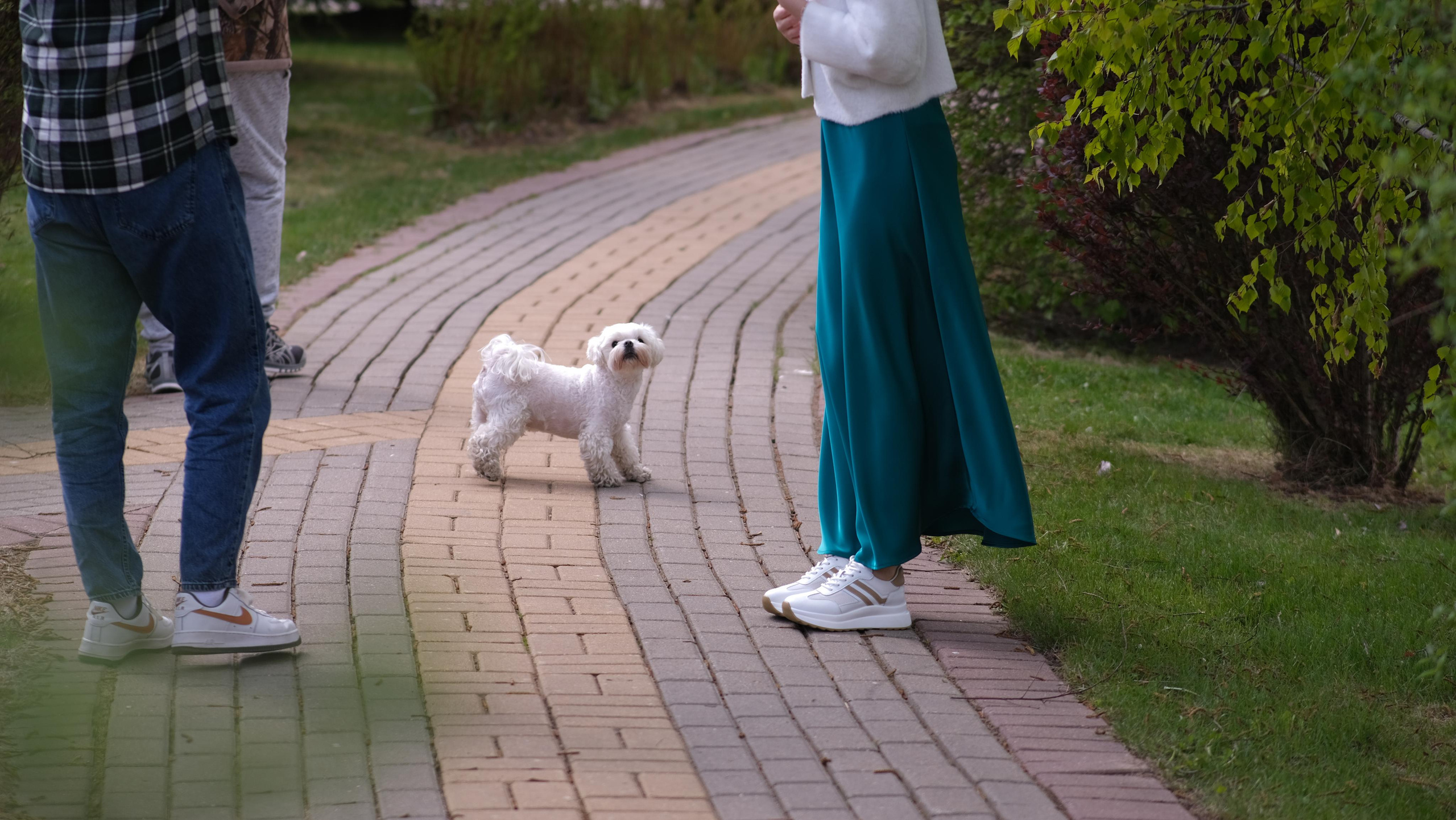 Фотосессия Аси и Тарона. Семейный детский ньюборн фотограф в Москве Марта Петрова