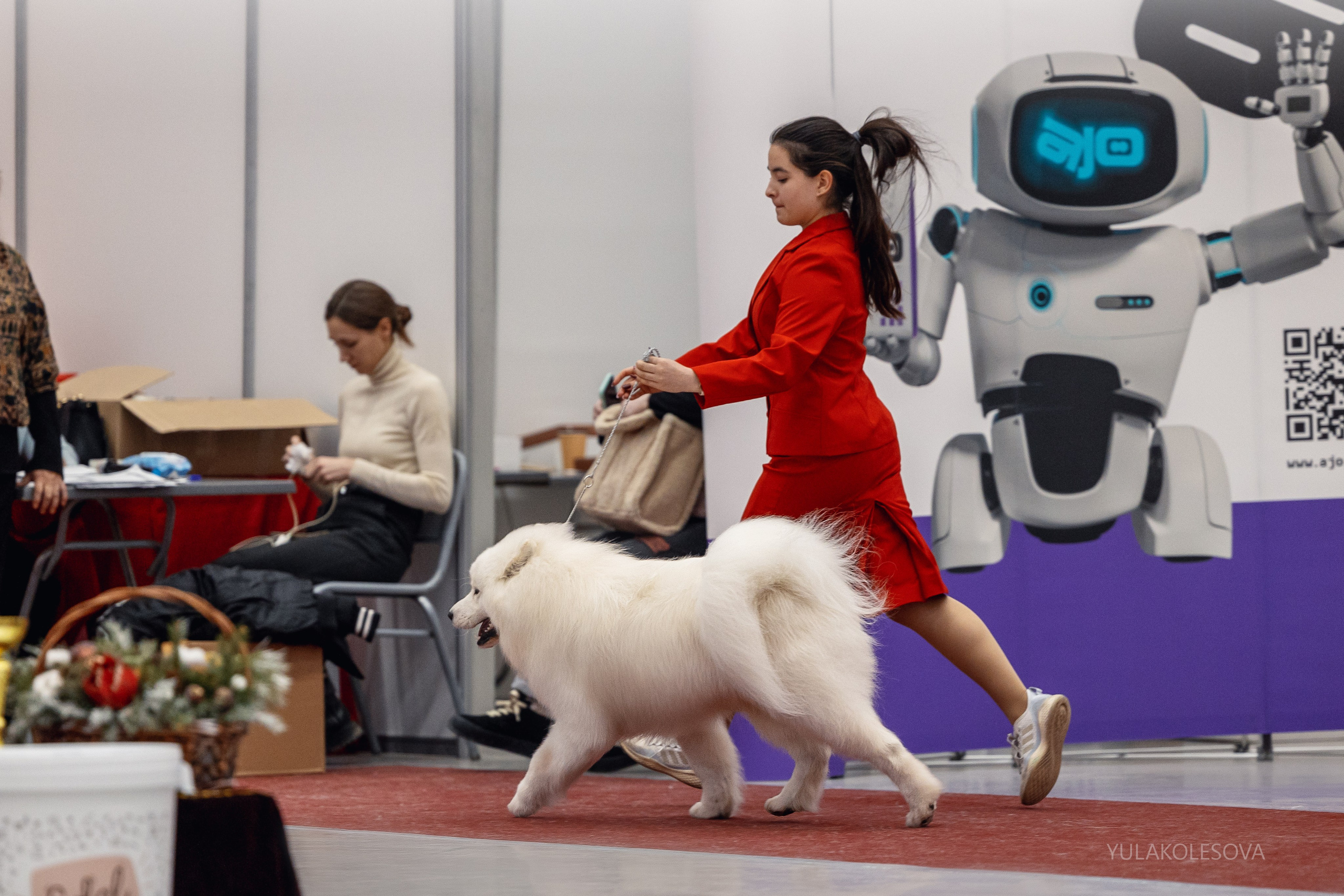 14.12.2024 Выставка собак всех пород «Кубок Дружбы — 2024». YULA KOLESOVA | Фотограф — Анималист | Художник | Тюмень