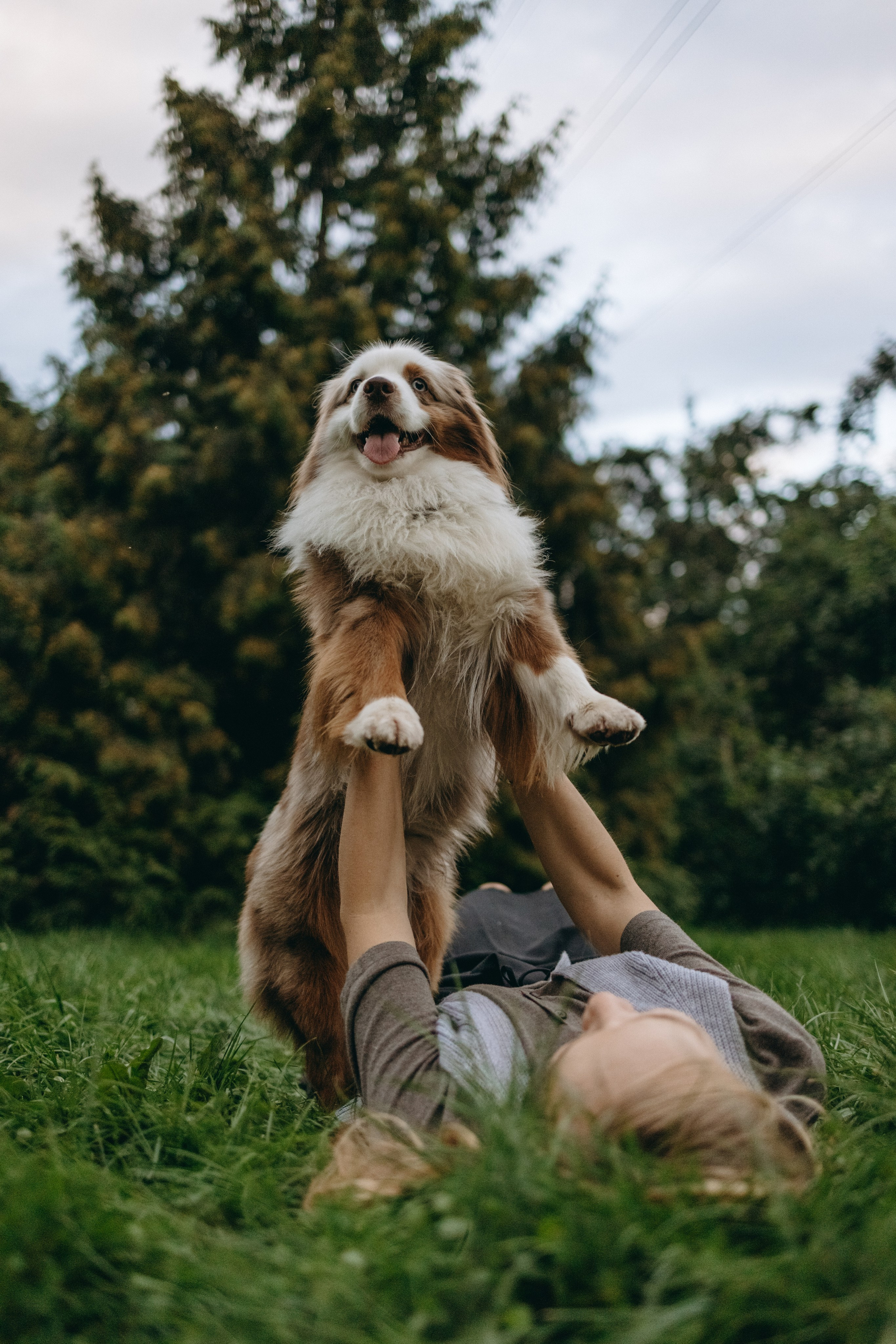Маша и Эклер. Фотограф — Анималист | Санкт-Петербург