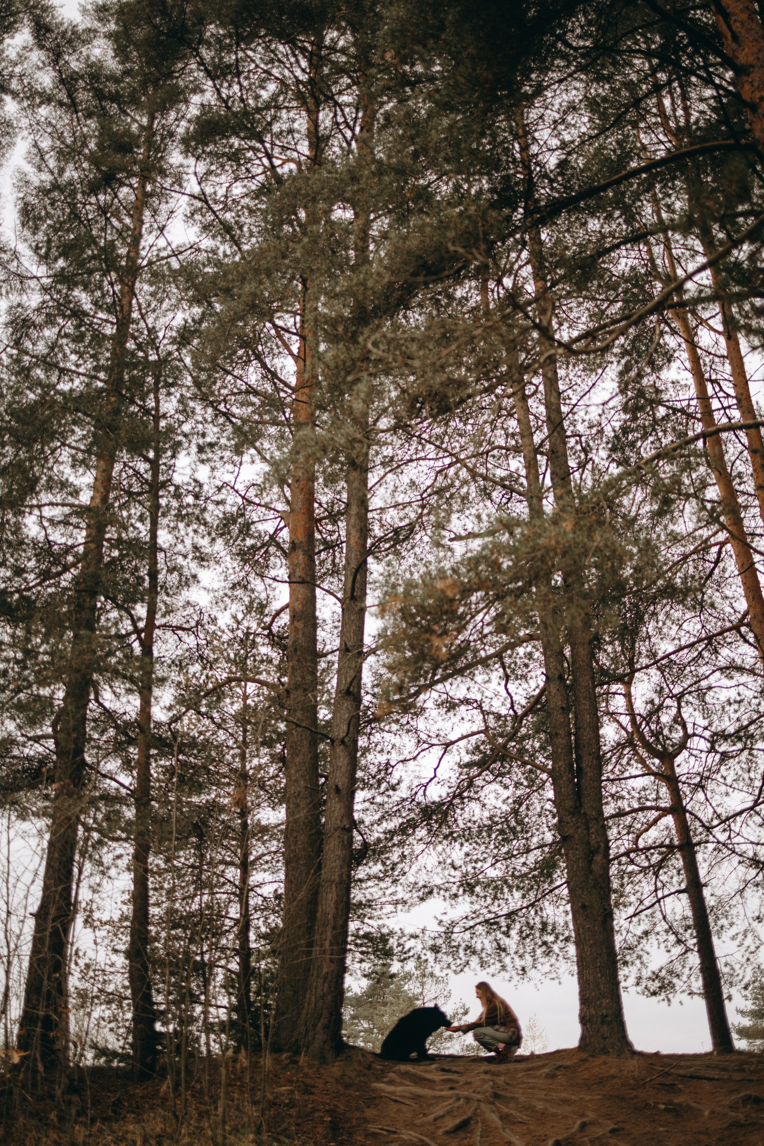 Лора и Джанго. Фотограф — Анималист | Санкт-Петербург