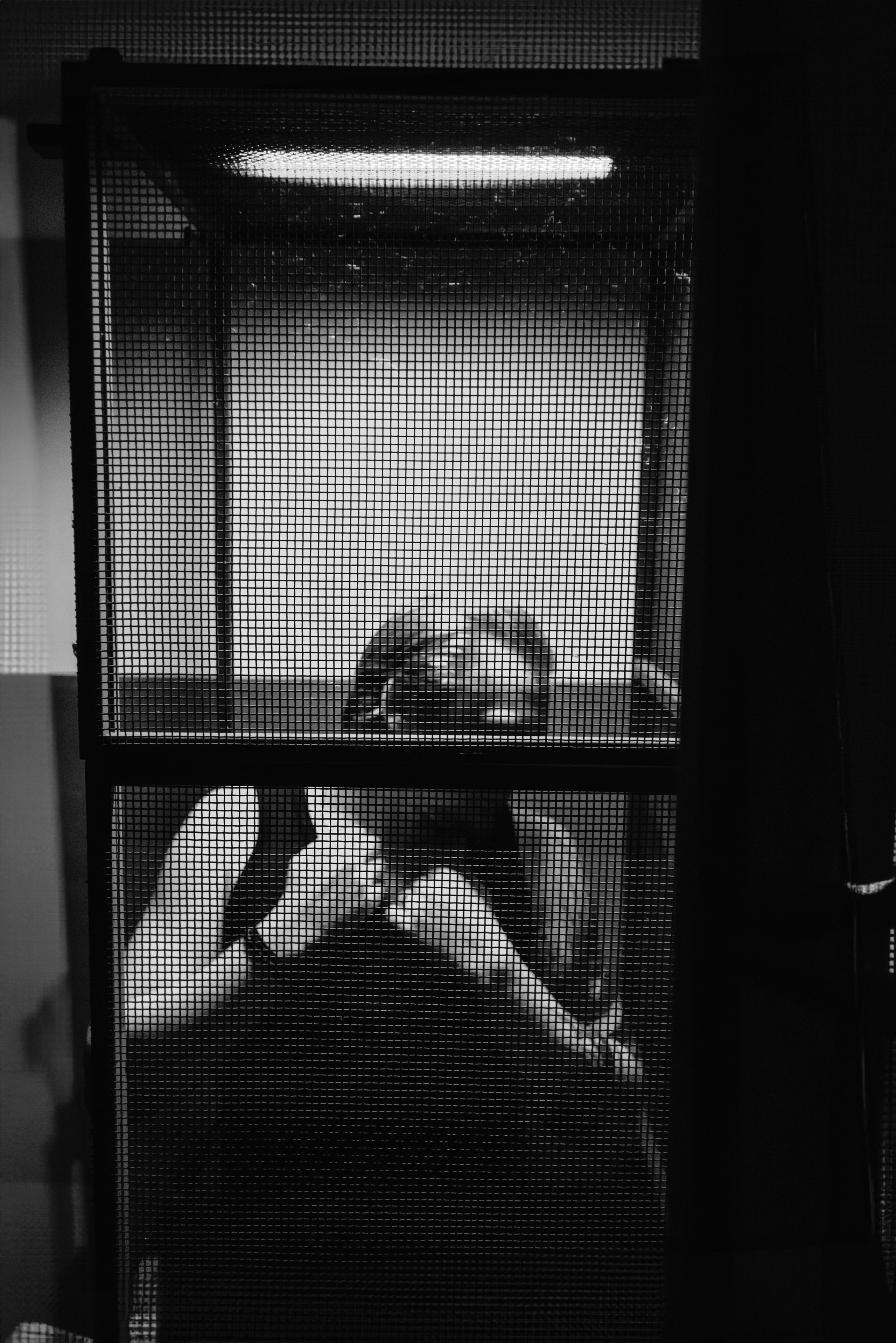 Марк. Фотограф Дарья Мустафина, Тюмень