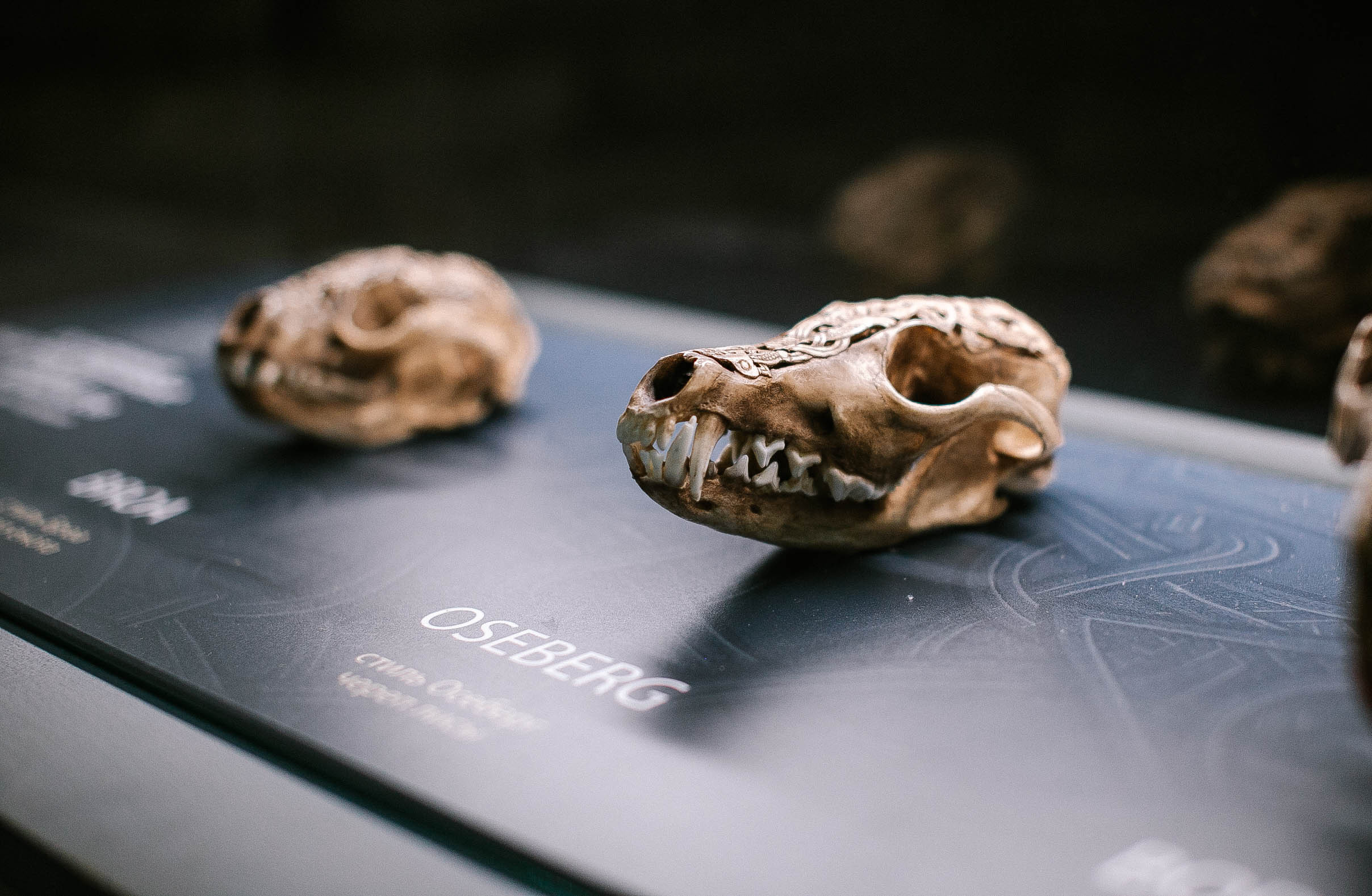 Первый мини гранд тур. Главная