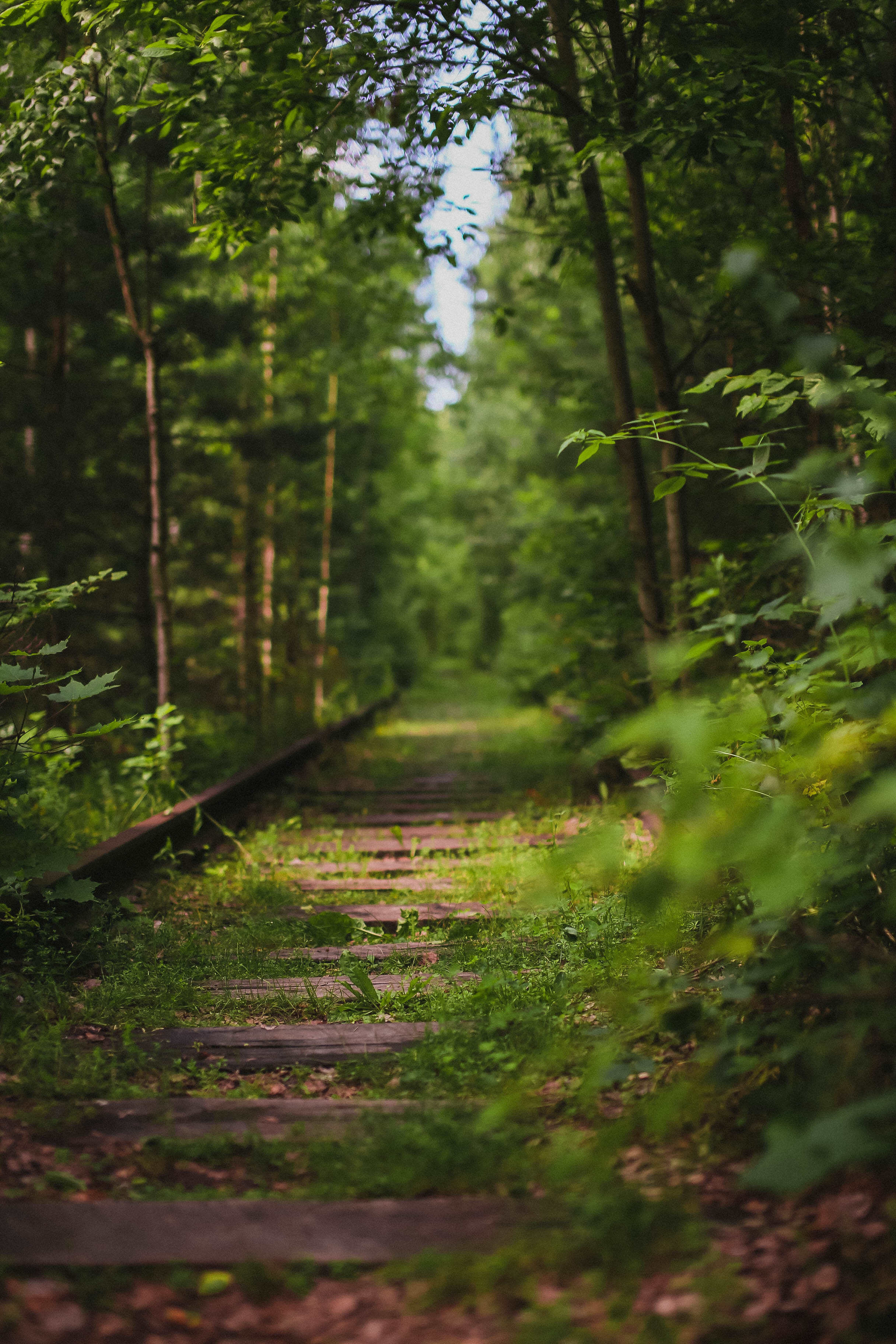 Тут нет людей. Главная