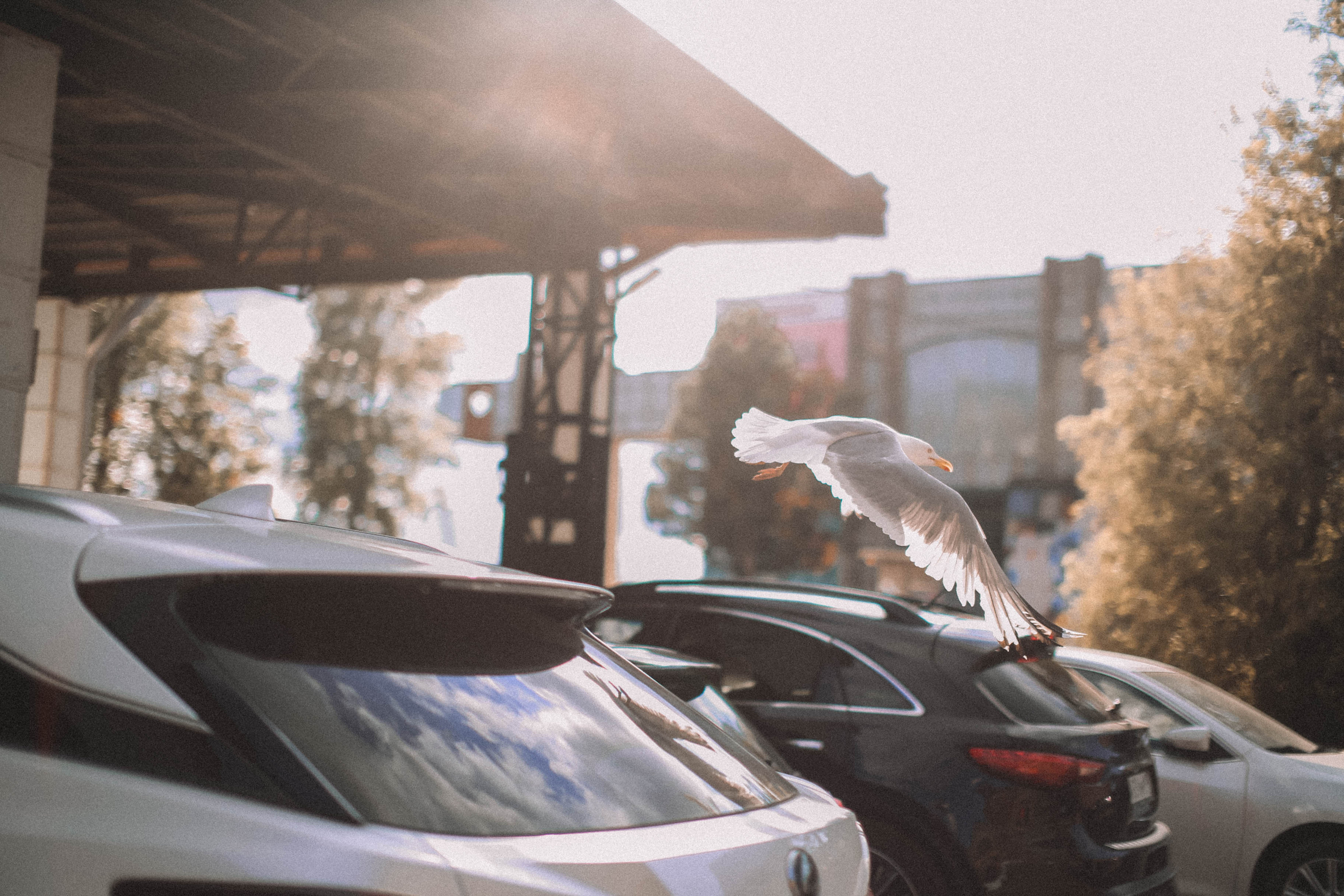 Барахолка по питерски. Главная