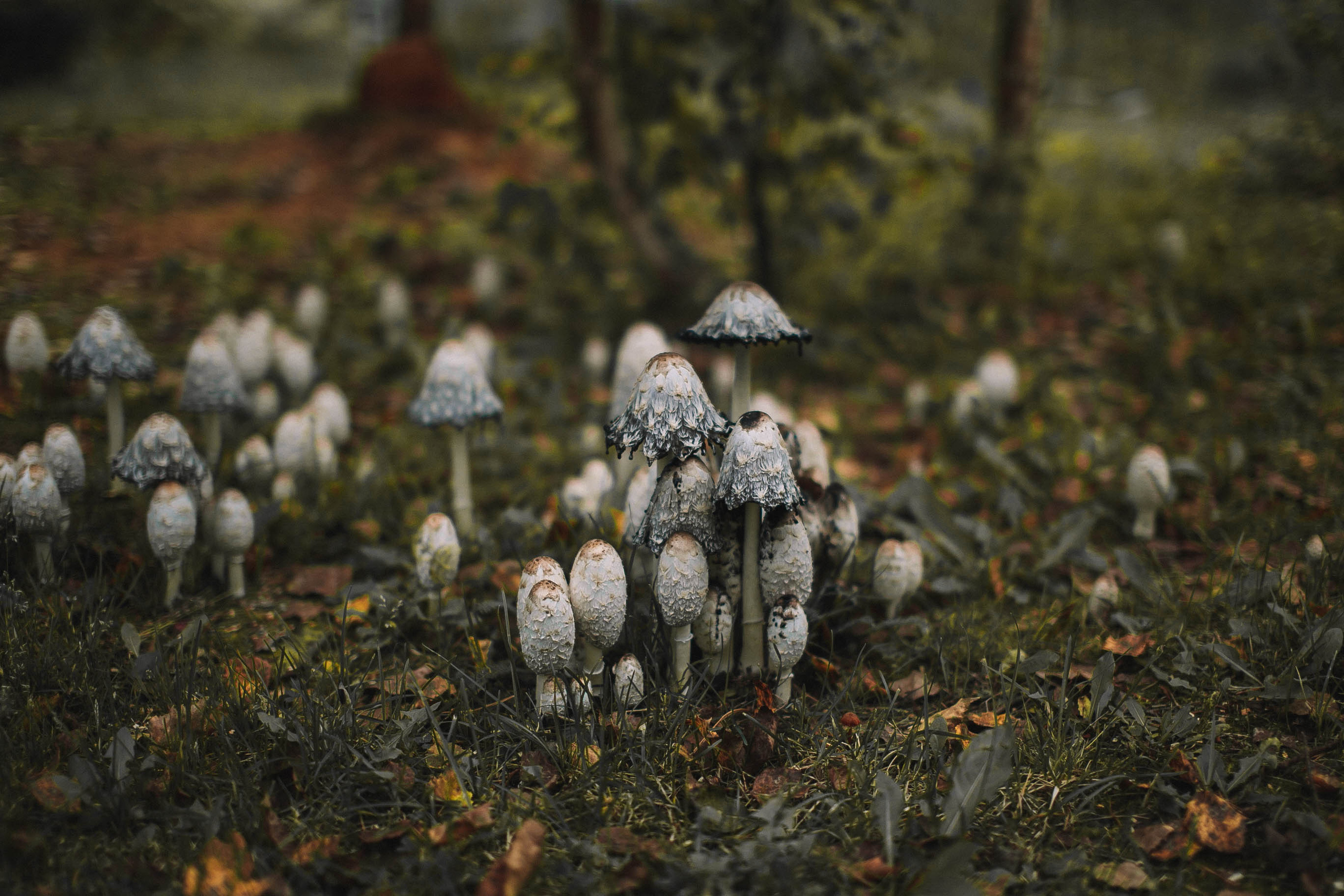 Поездка по карельскому направлению. Главная