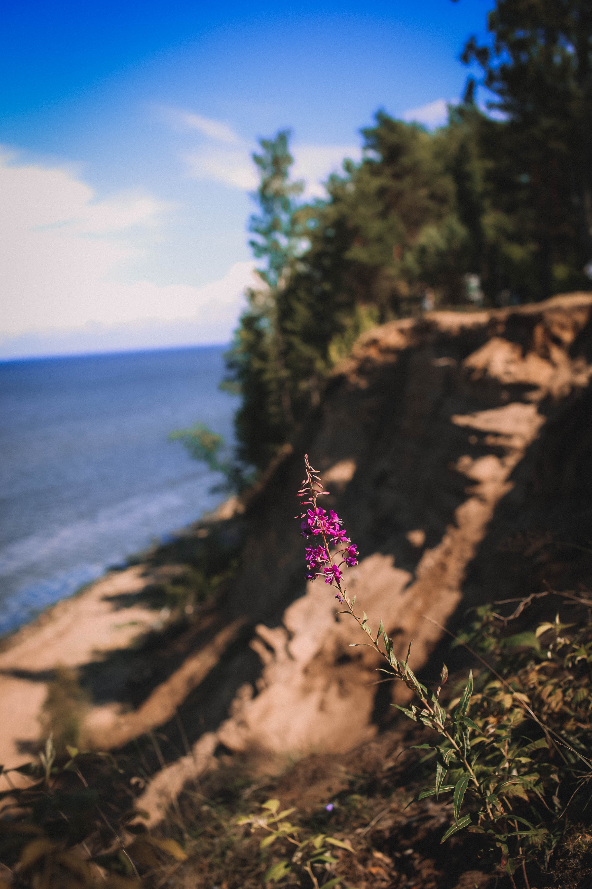 Море. Главная