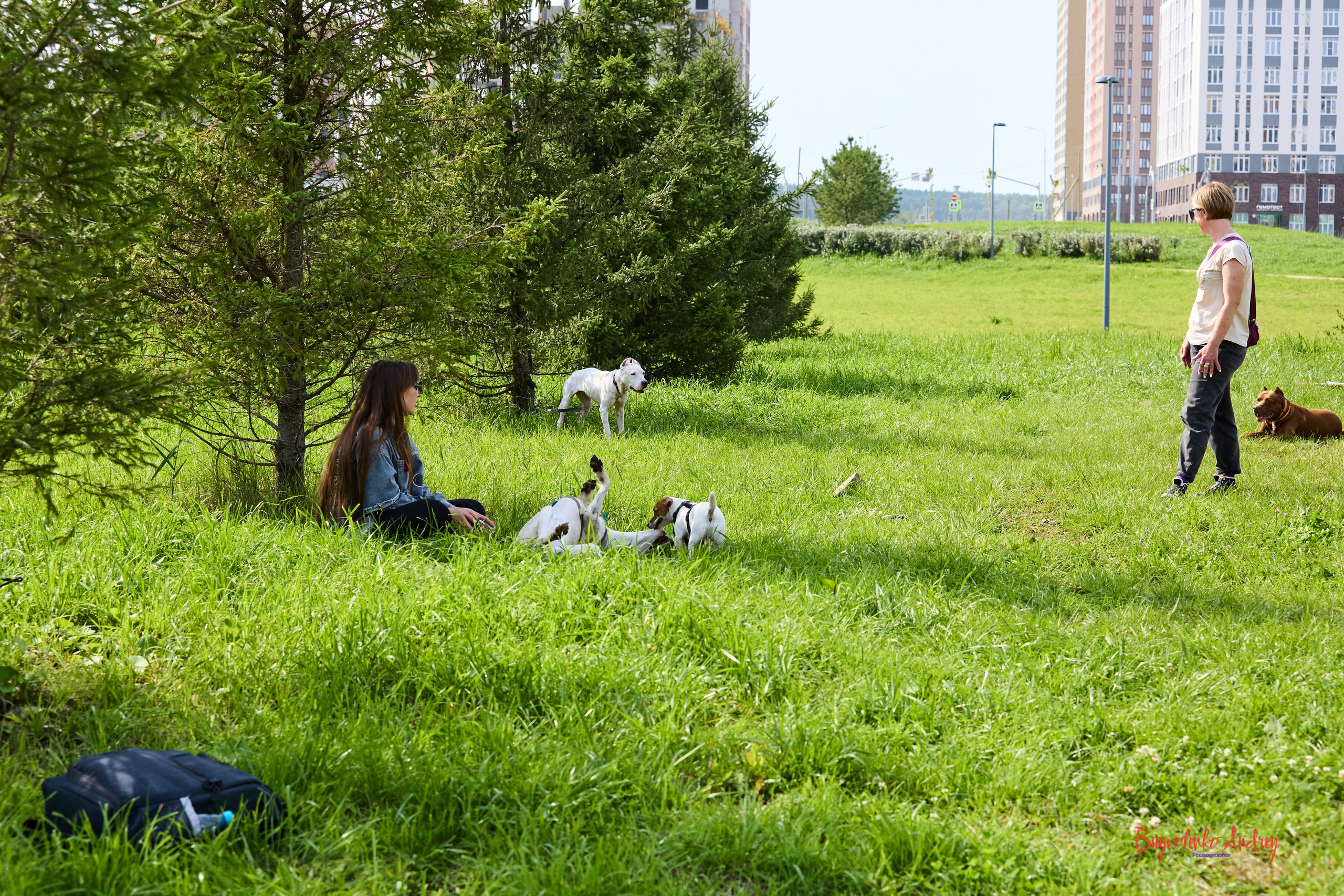 Проект фотопрогулка с хвостиком. Buyvolenko Andrey