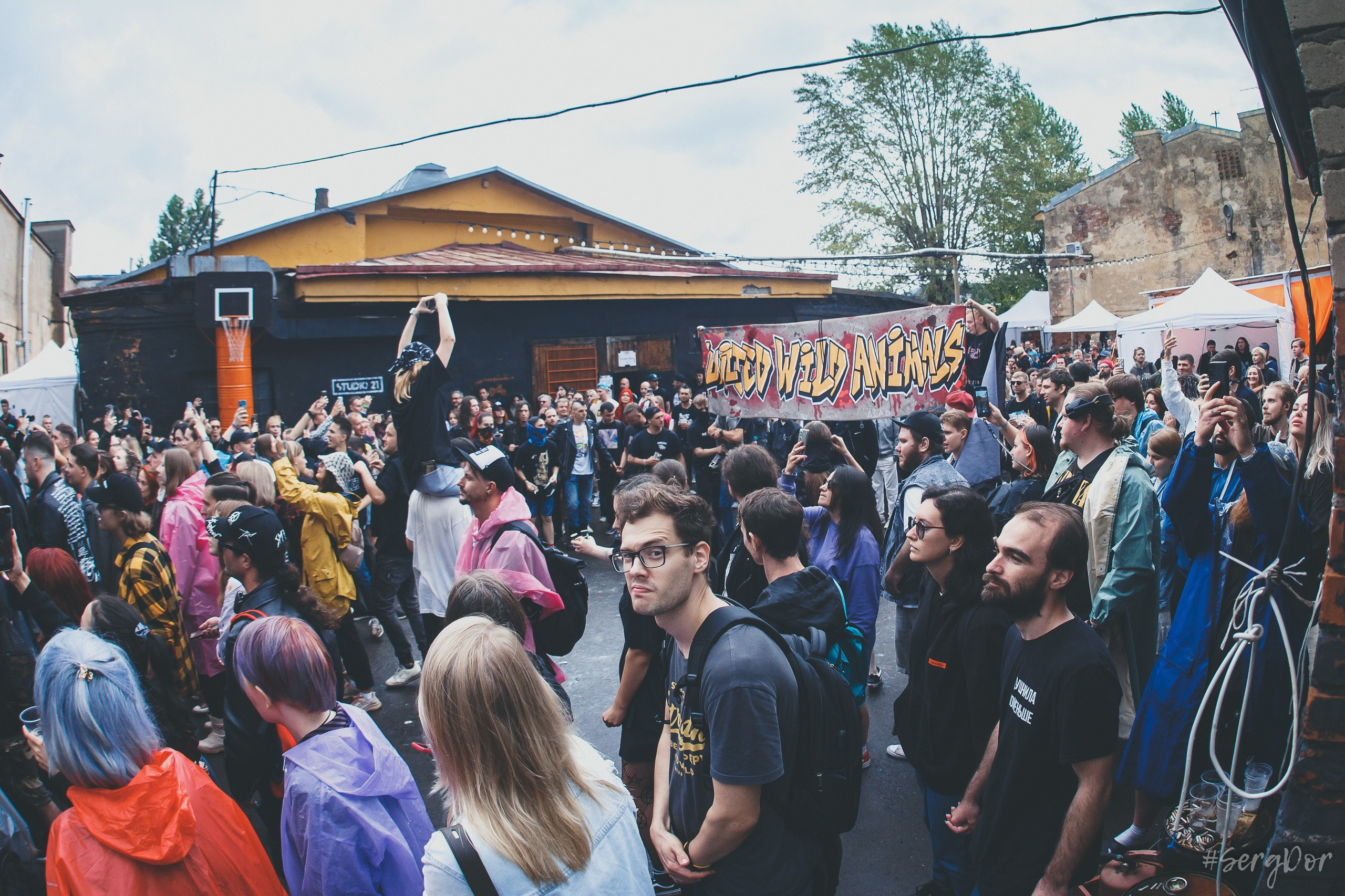 астра, Ася Зелёная, фестиваль, Живой, Зелёная сцена, Санкт-Петербург, СПб, 10.08.2024, SergDor, 10 августа 2024 года, #SergDor, дебют, первое выступление, первый концерт