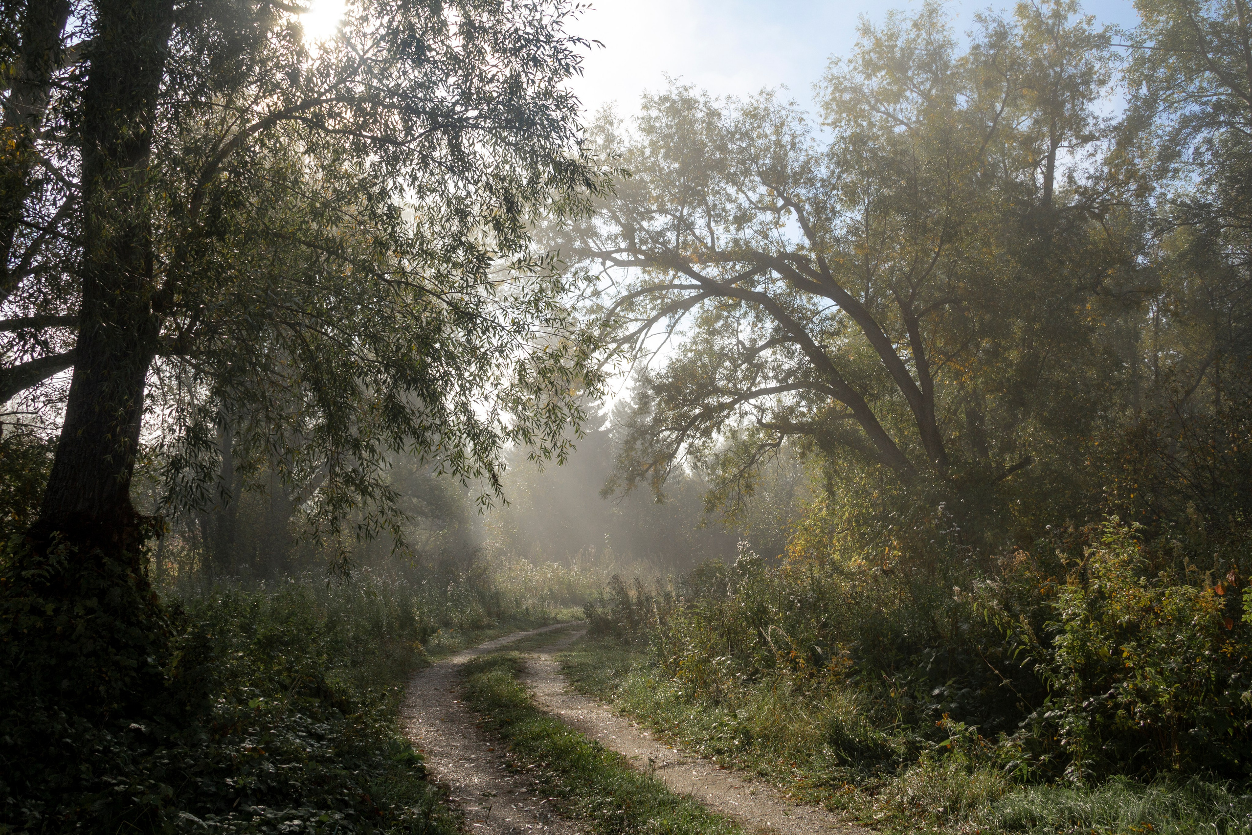 Лето. Ваш фотограф Северск | Томск