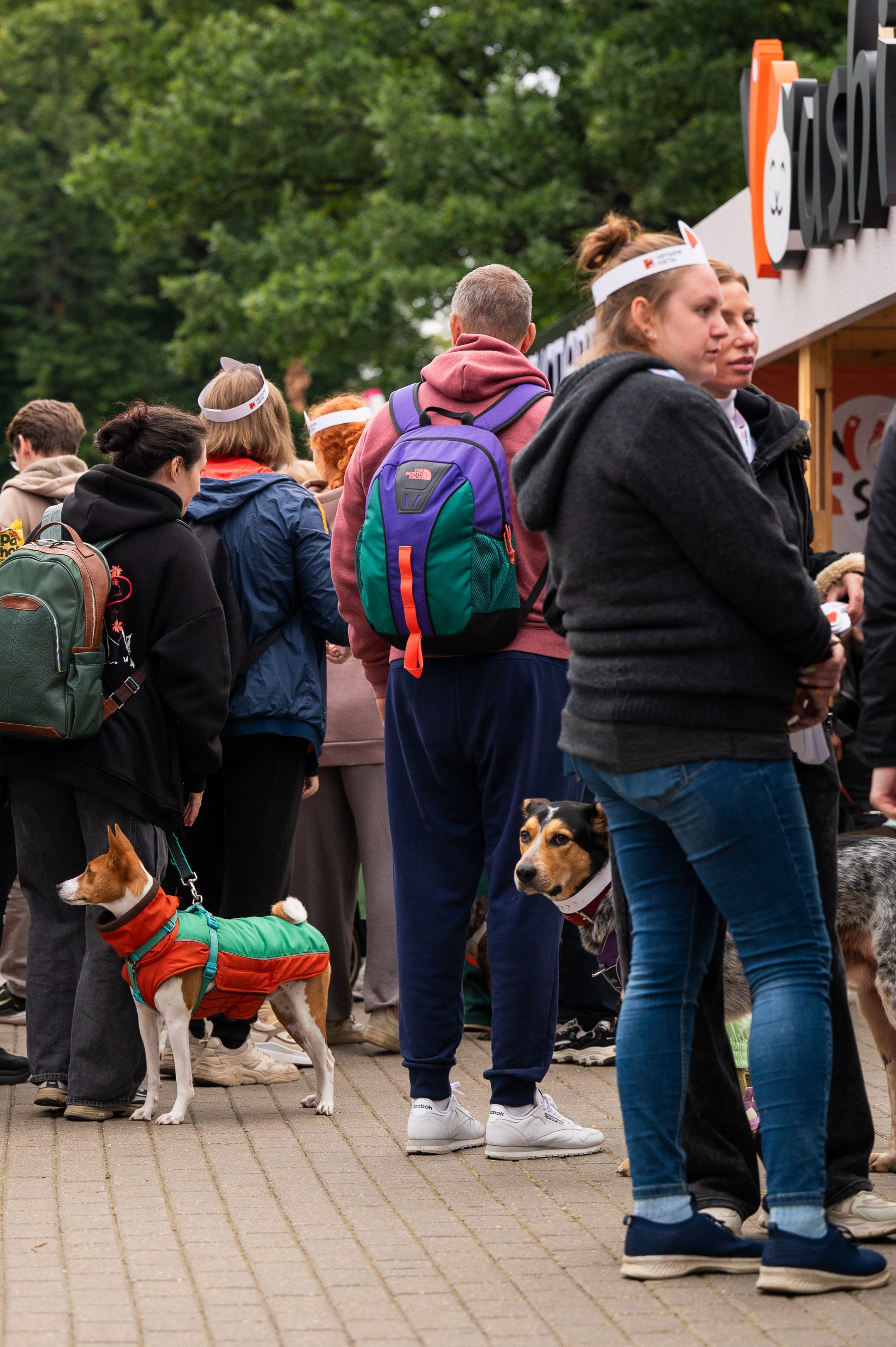 4lapy fest 2025. Photographer in Moscow Anna Chistiakova