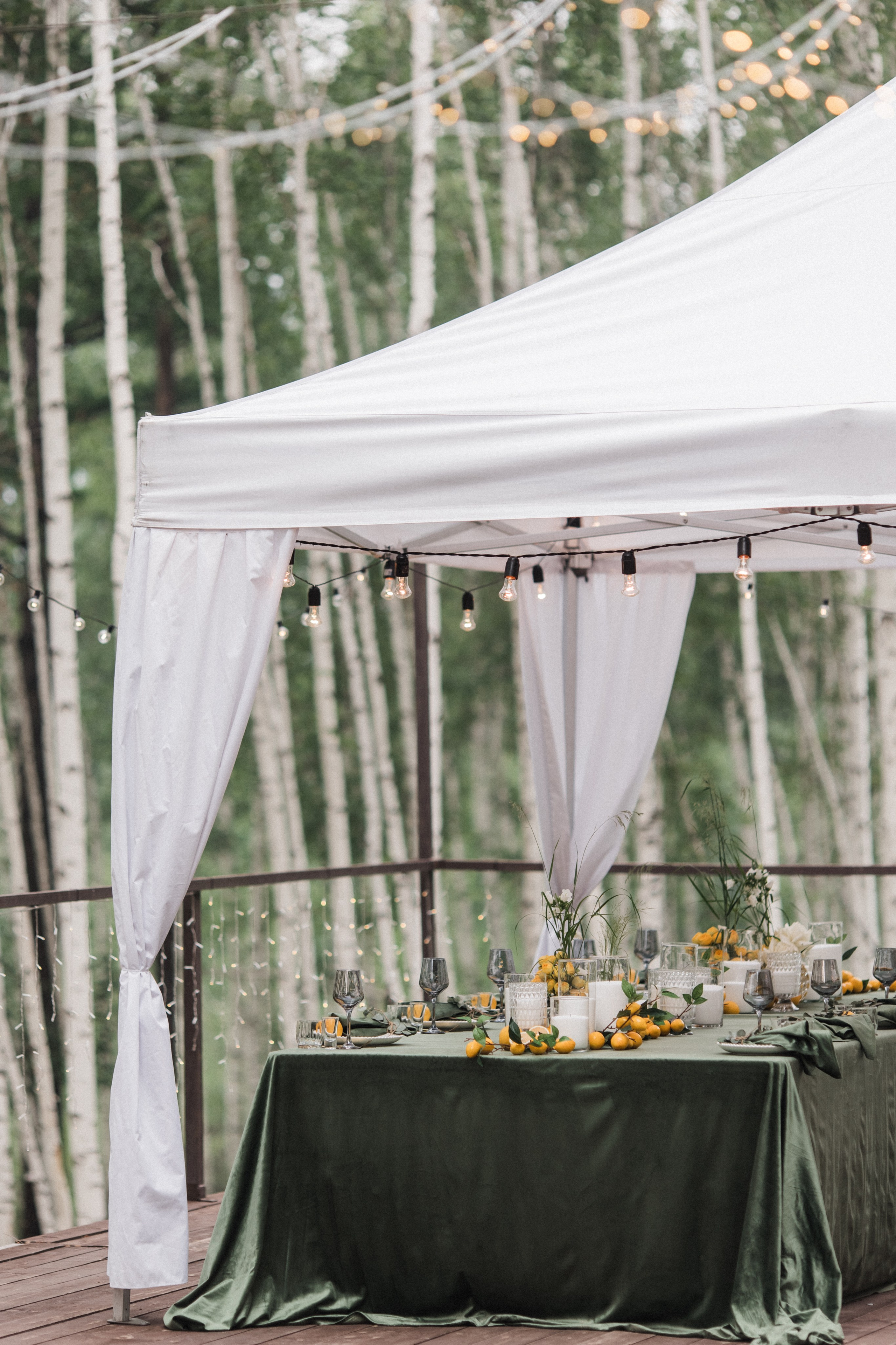 Tomas & Lisa. Свадебный организатор в Чите Елена Супонова