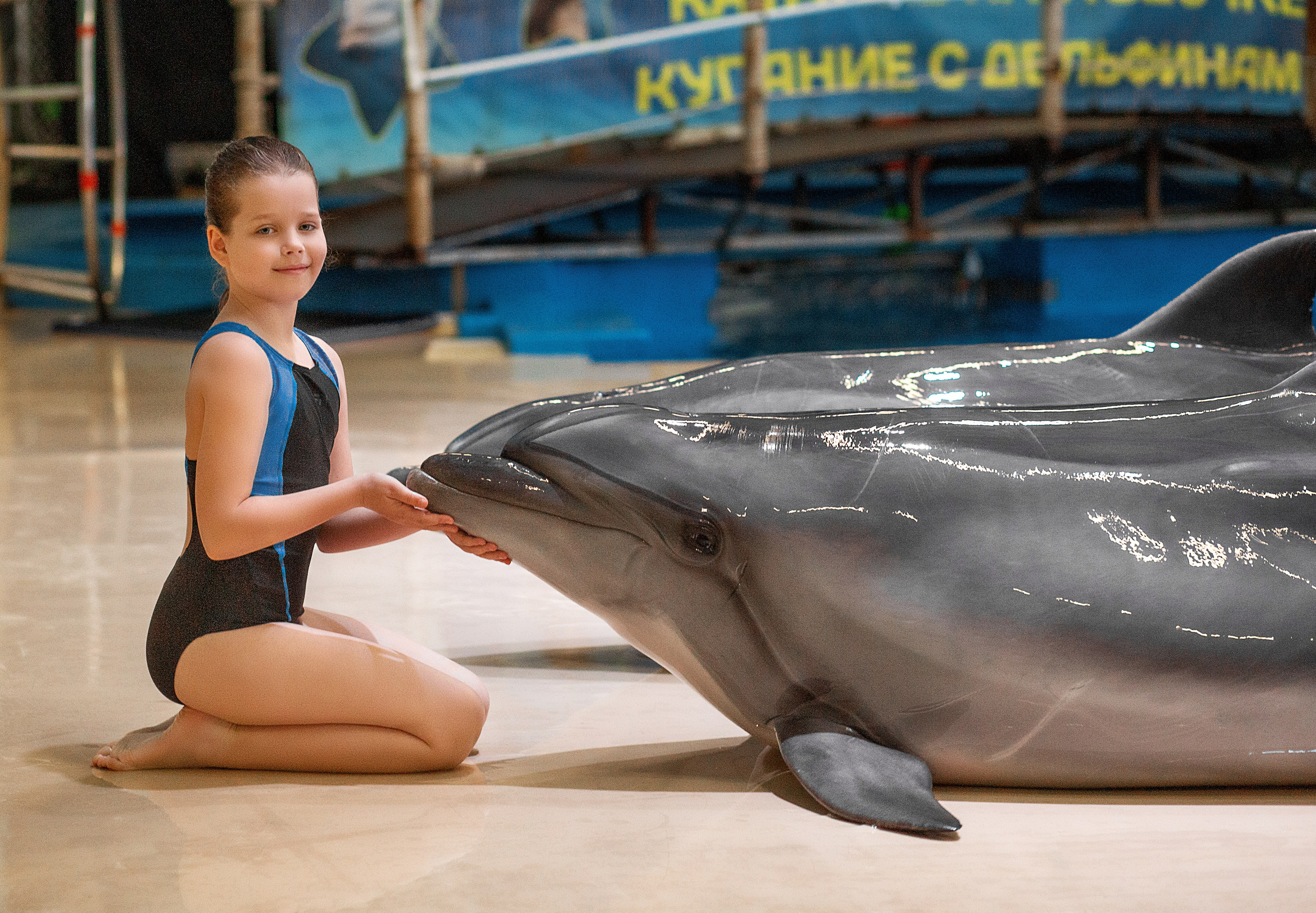 Фотосессия с дельфинами. Фотосессия с лошадьми в Нижнем Новгороде