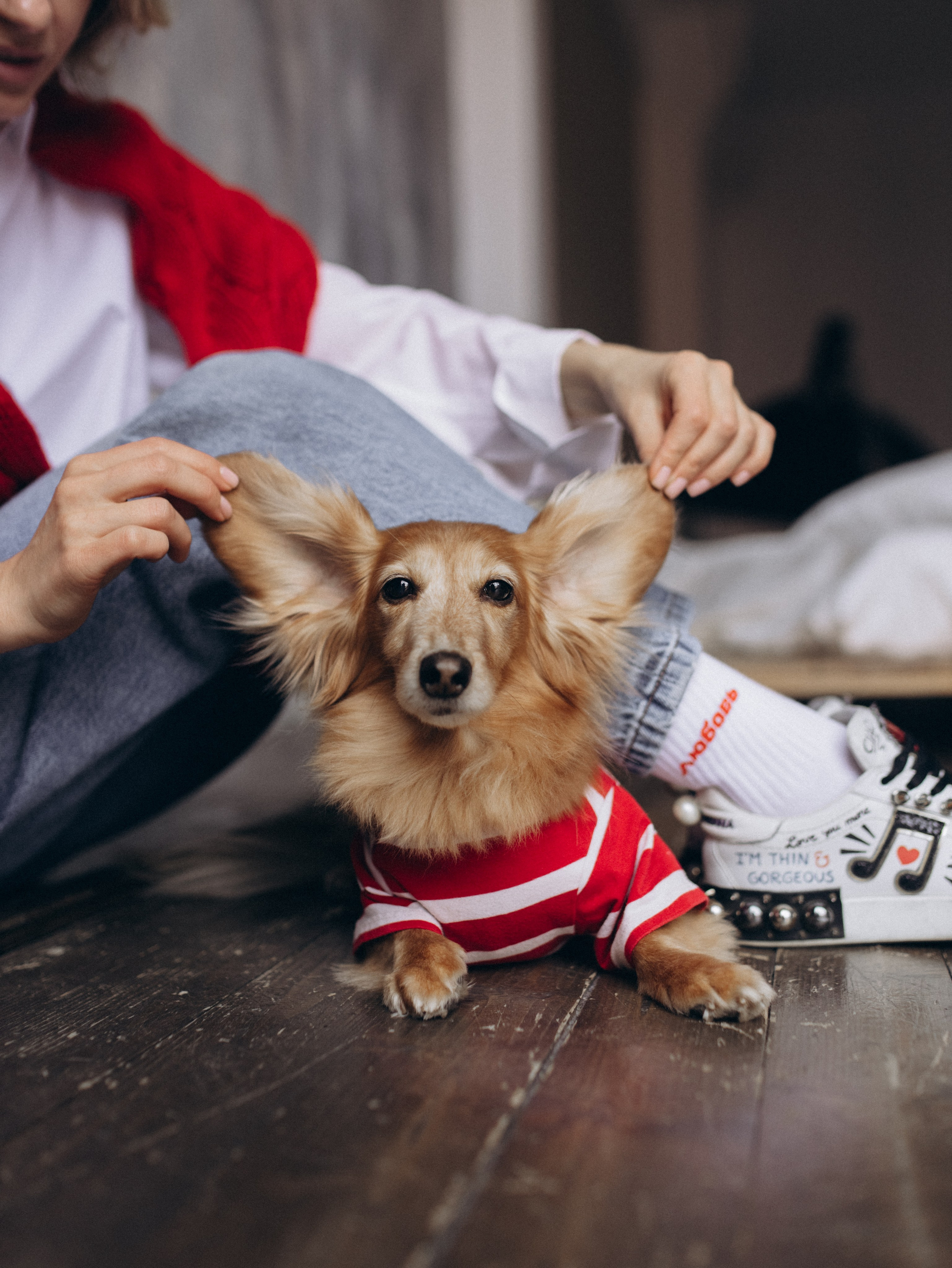 Лимон и Аня. Фотограф-анималист в Москве Кириллова Татьяна