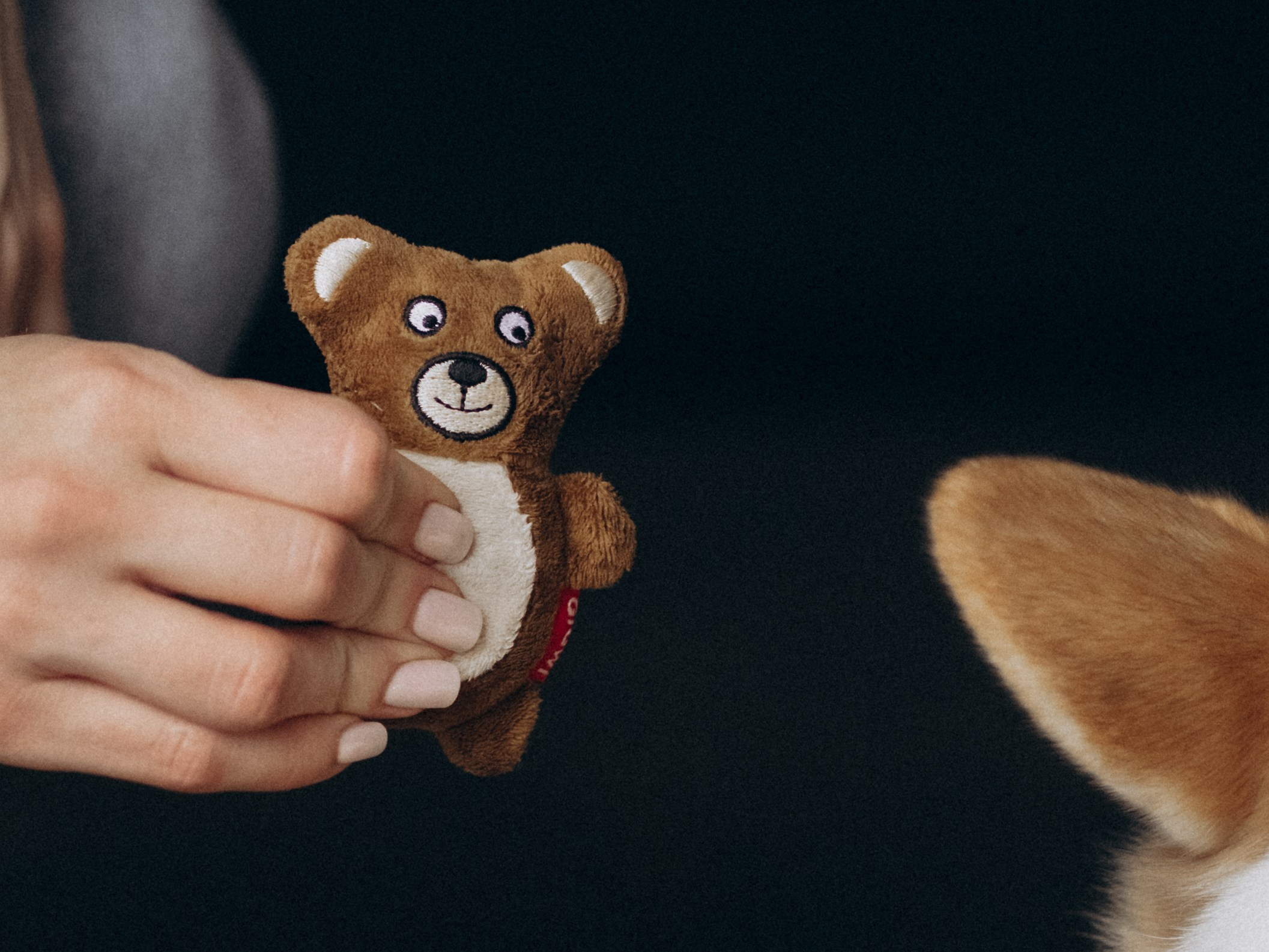 Оливка и Ника. Фотограф-анималист в Москве Кириллова Татьяна