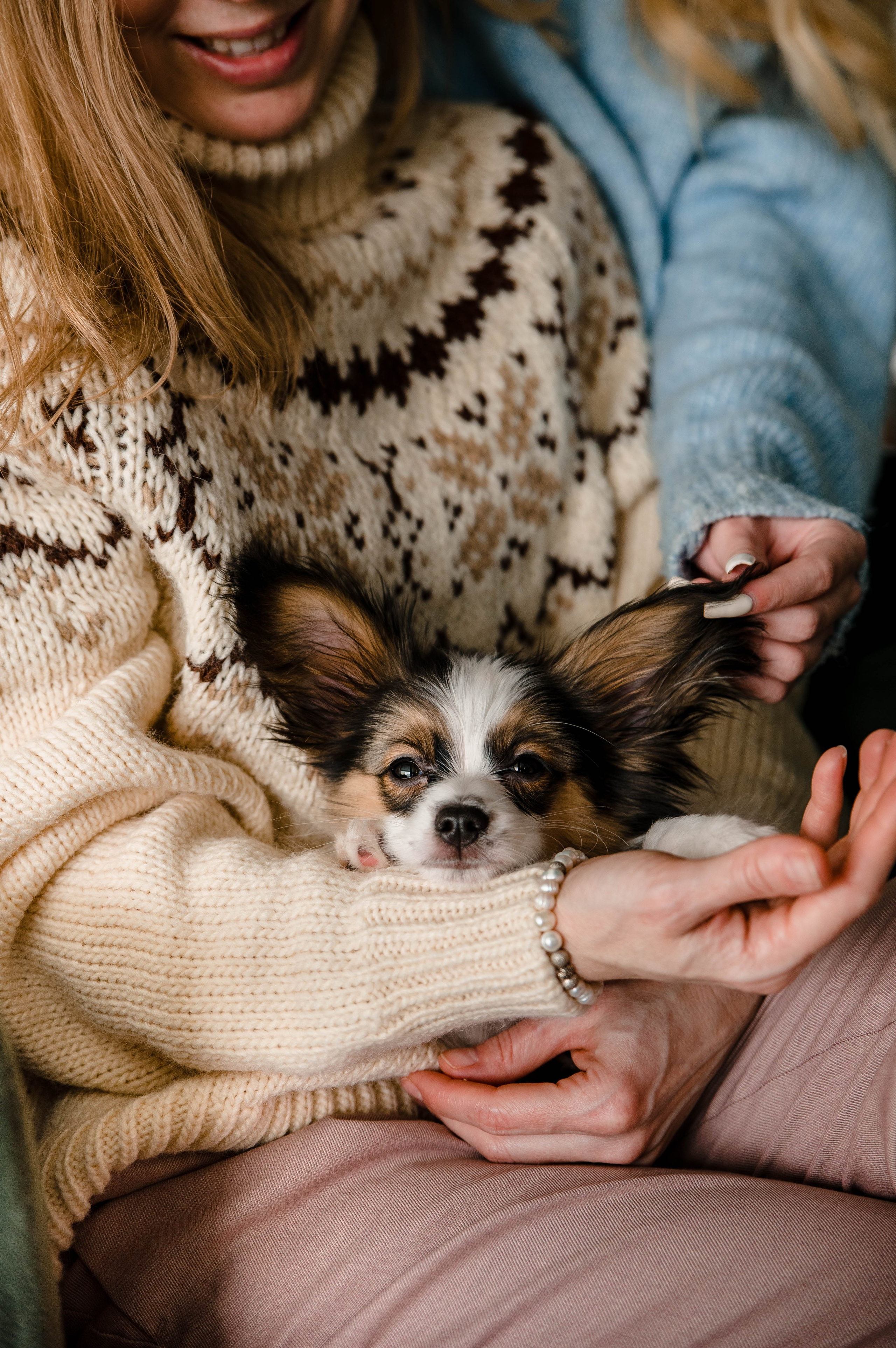 Настя, Света и Папийон Луней. Главная