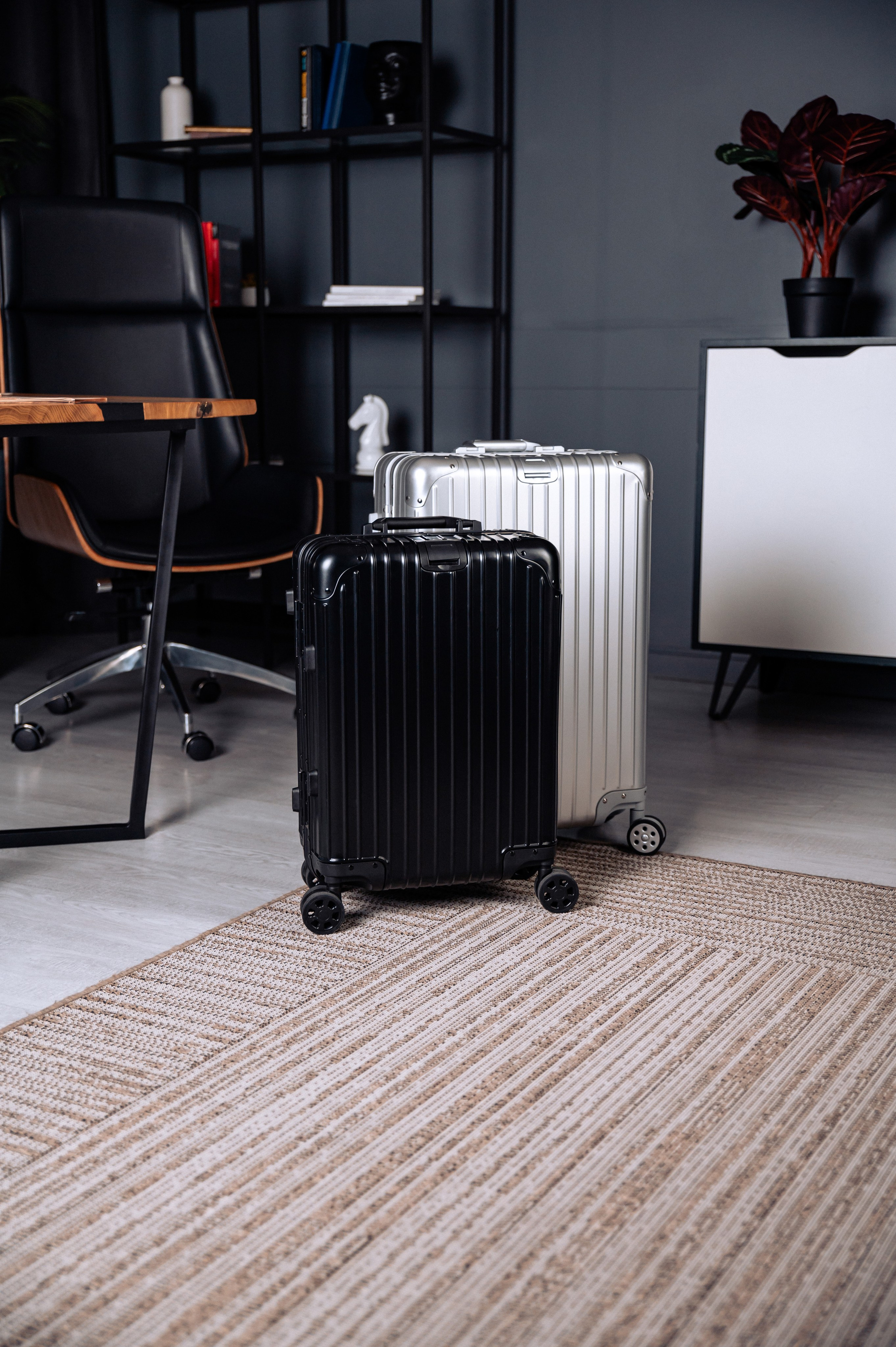 MOLI. Фотограф в Алматы — Дарья Фёдорова