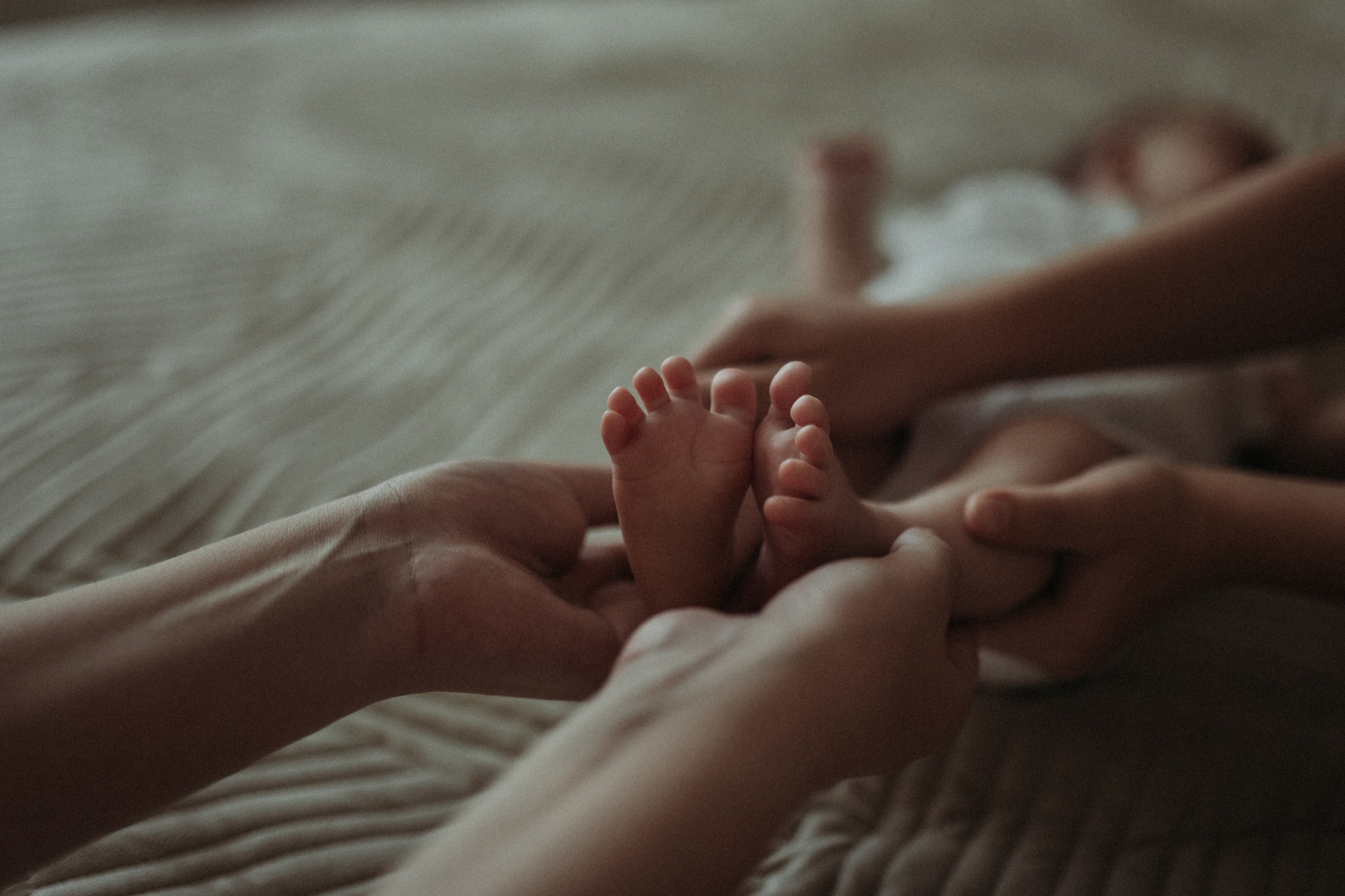 Катя, Ариша, Антон, Артем. Www.ostermiller.ru