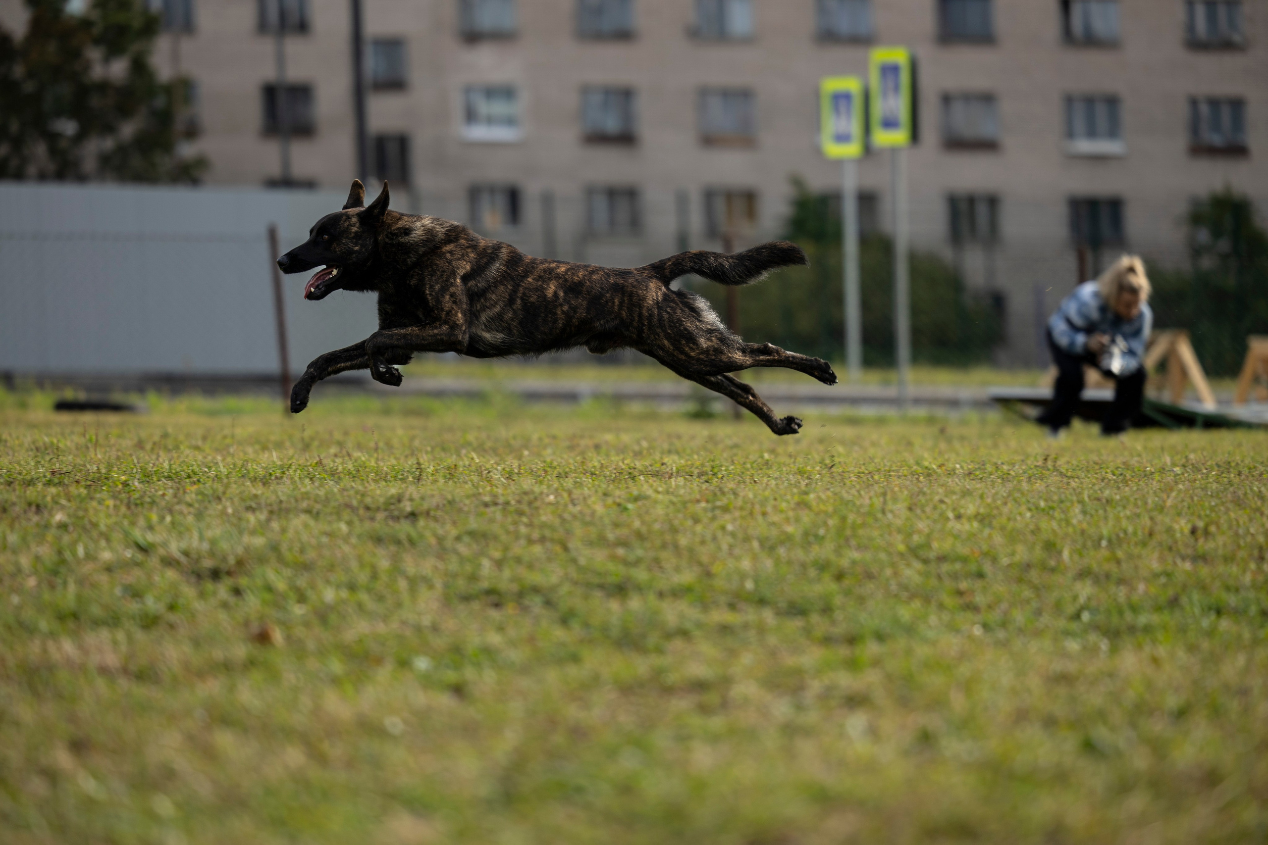 Испытания по Мондьорингу г. Пушкин. Фотограф-анималист Анна Маринич