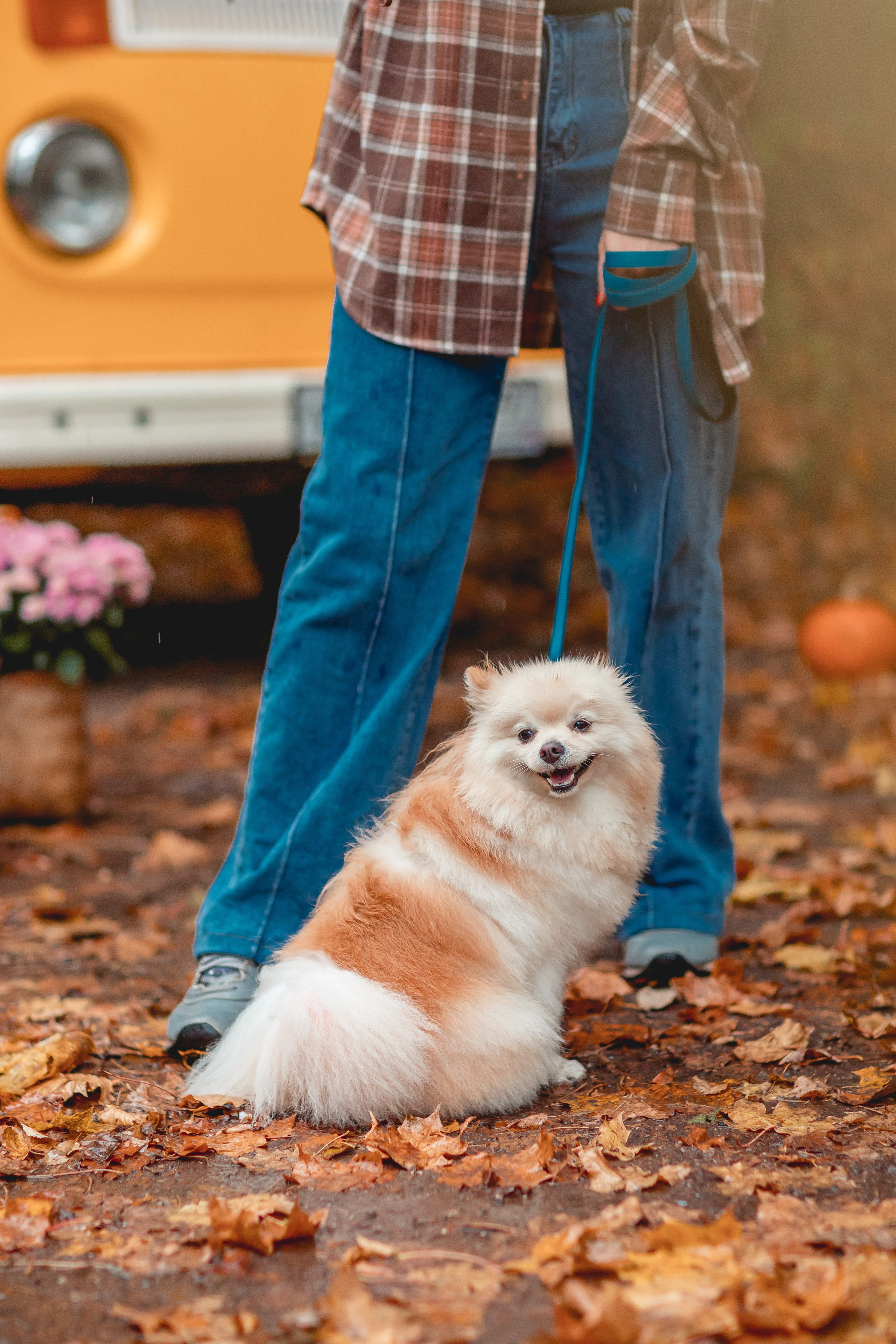 Ксения и Юки. Семейный фотограф анималист Мария Крючкова