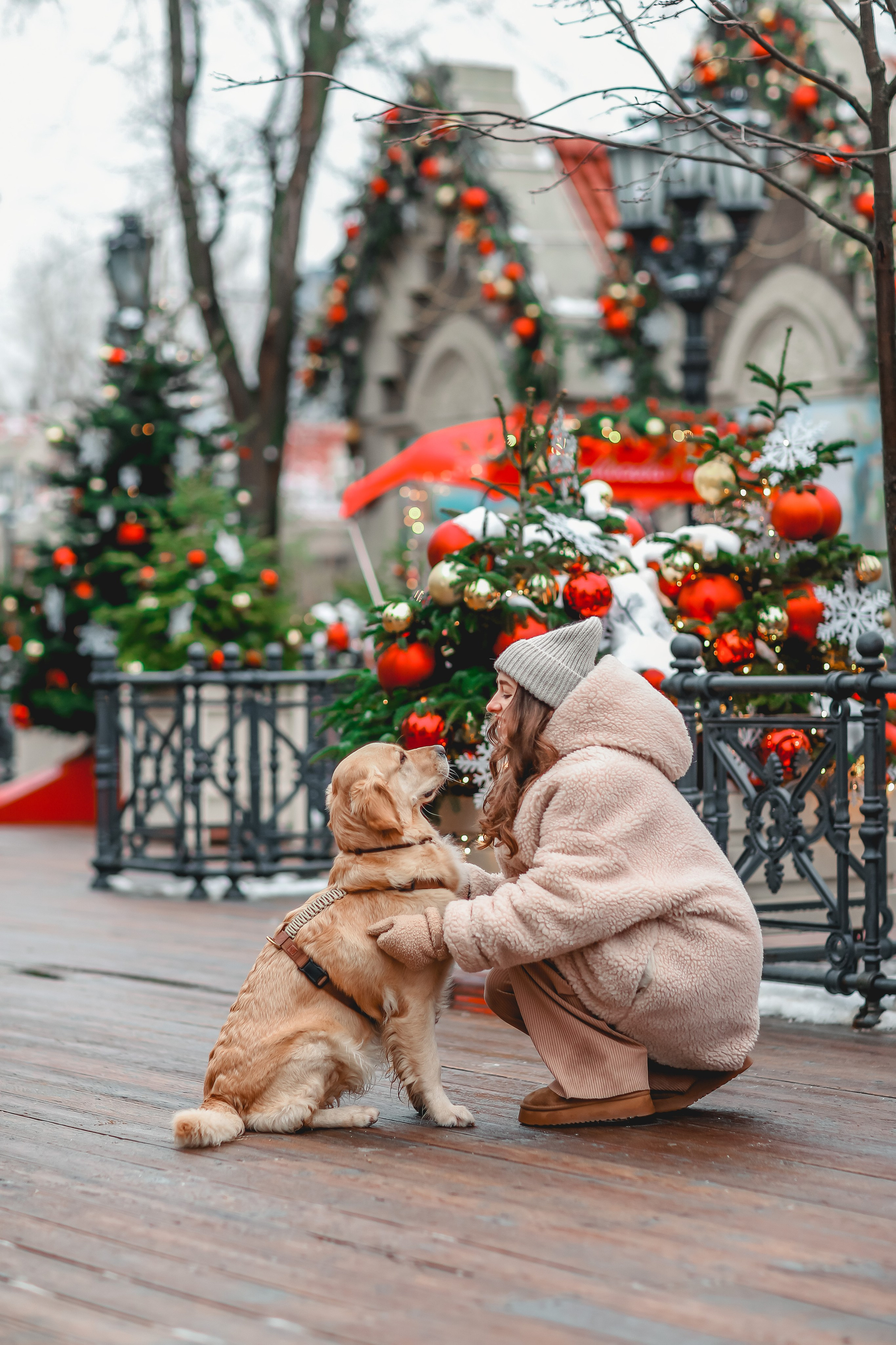 Марина и Чили. Семейный фотограф анималист Мария Крючкова