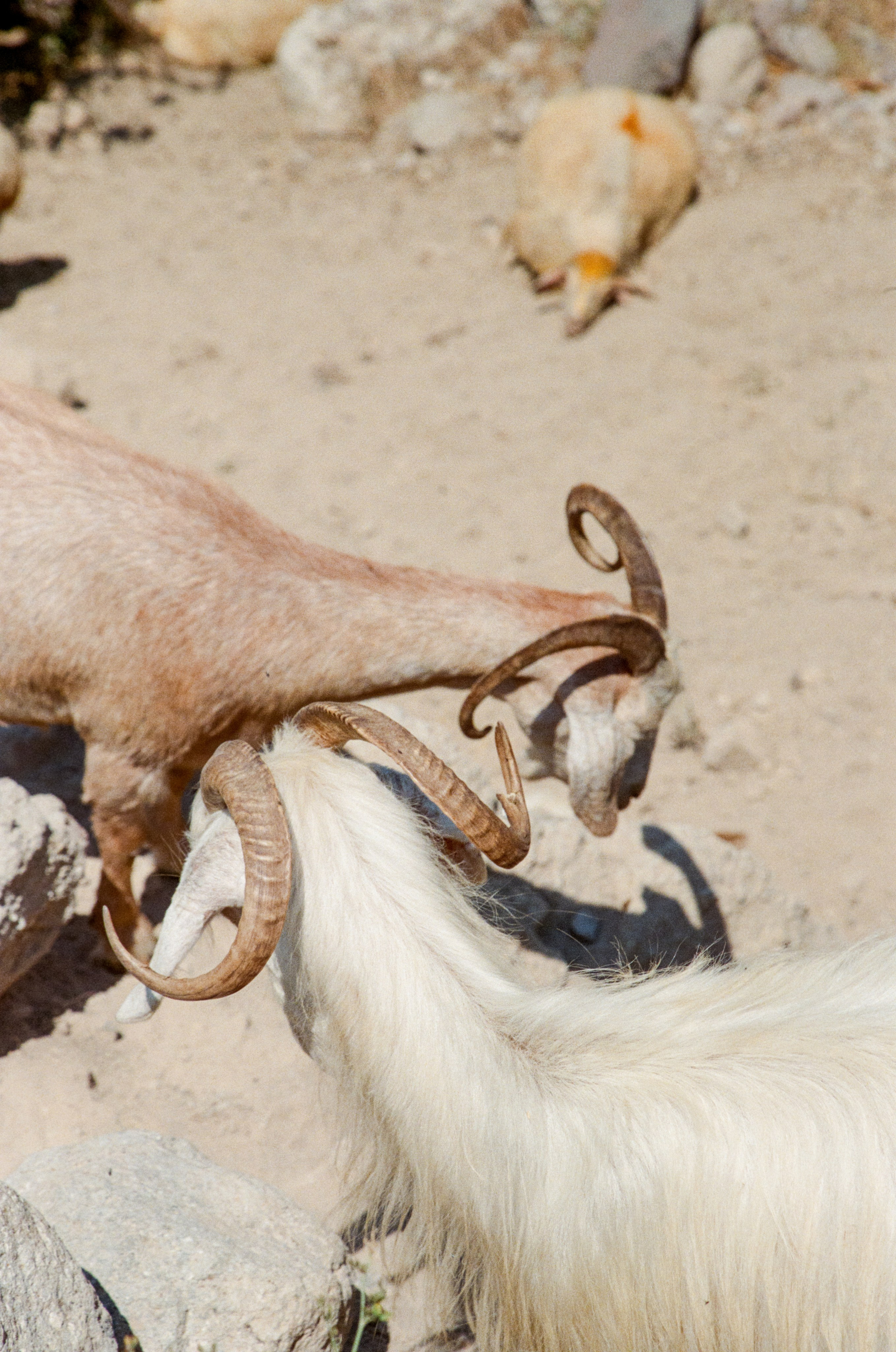 АРМЕНИЯ.24. Профессиональный фотограф Федотова Арина
