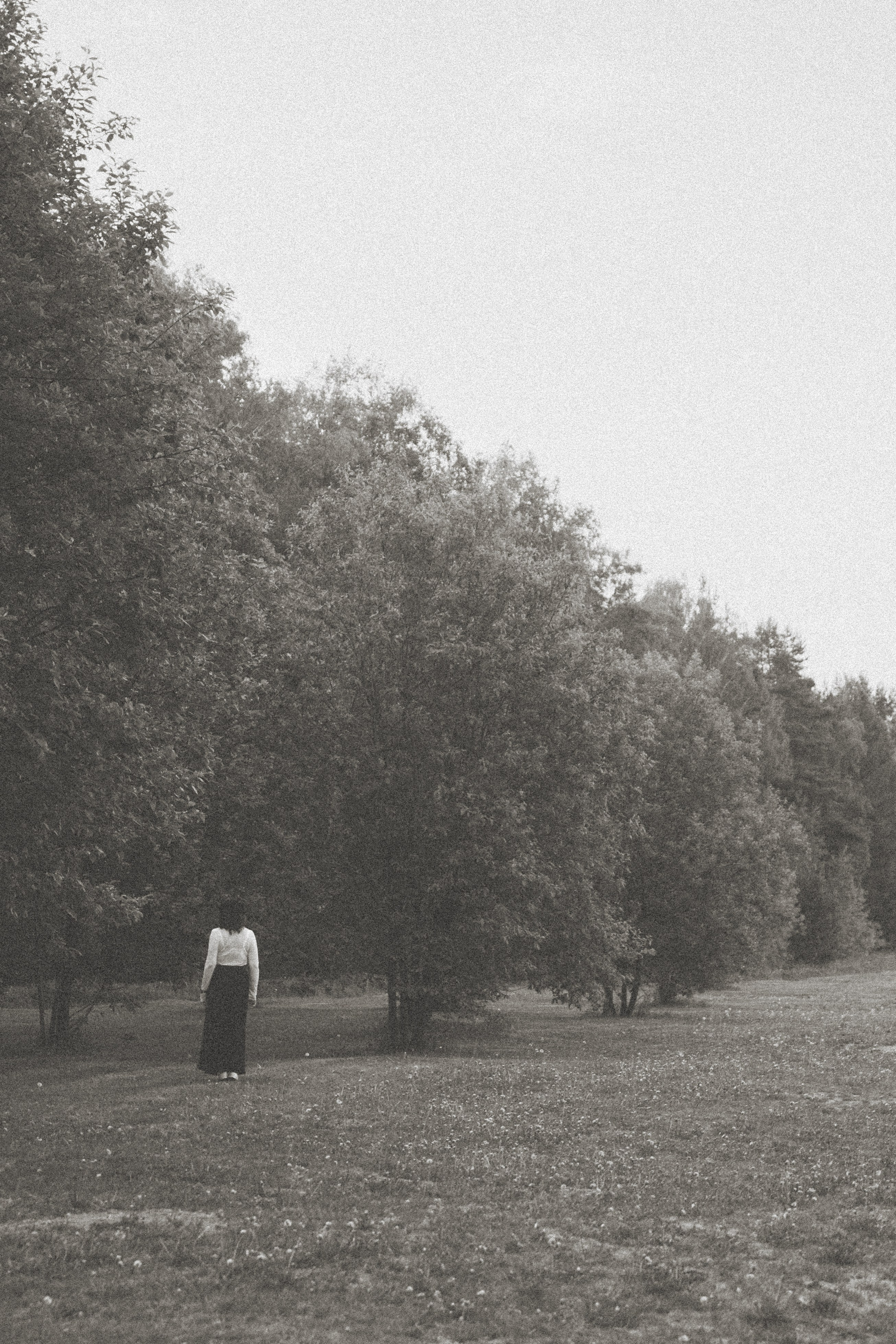 Между маем и июнем. Фотограф Москва Селюкова Юлия