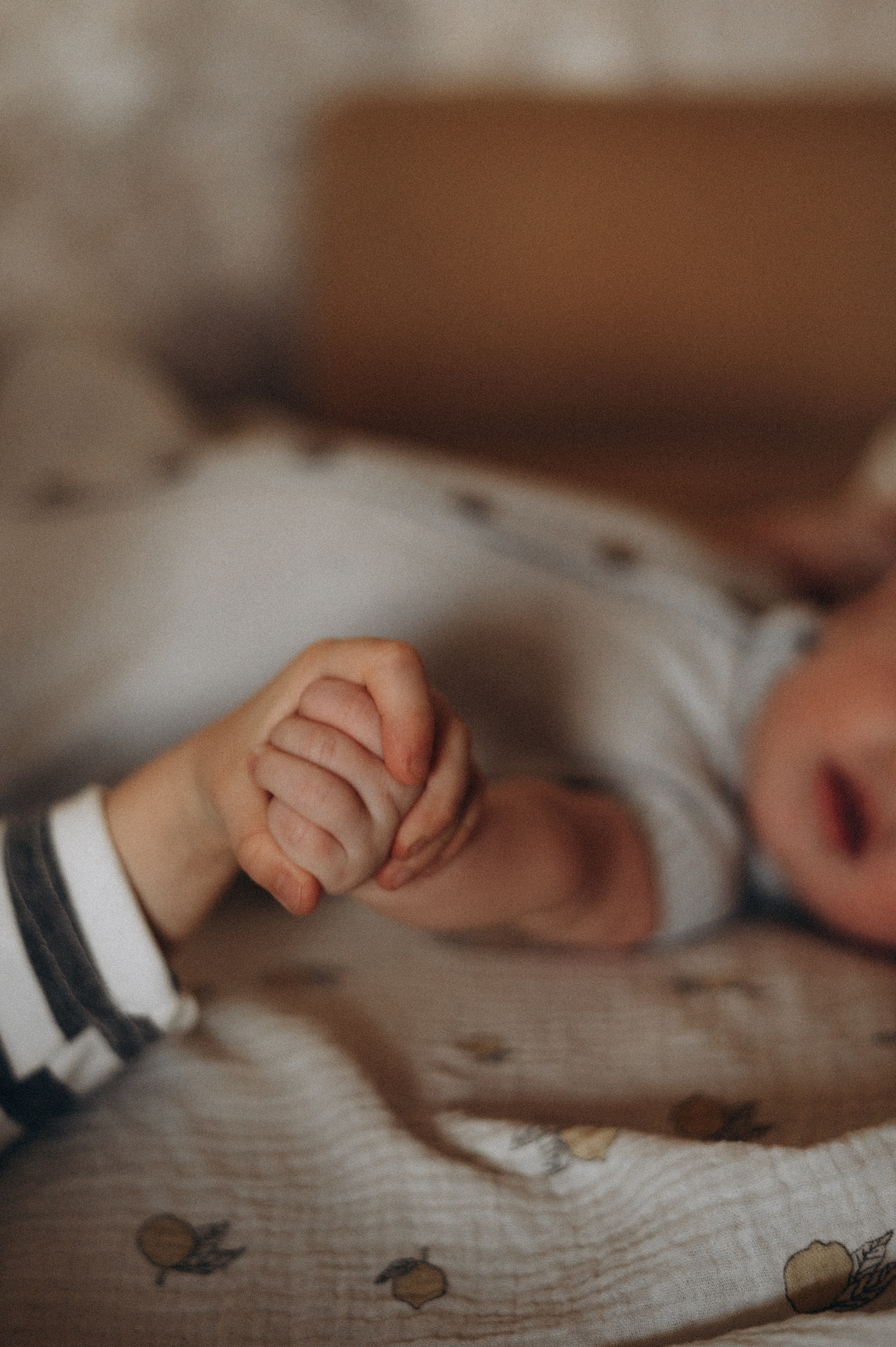 Семья Кутеповых (домашняя). Фотограф в Иркутске