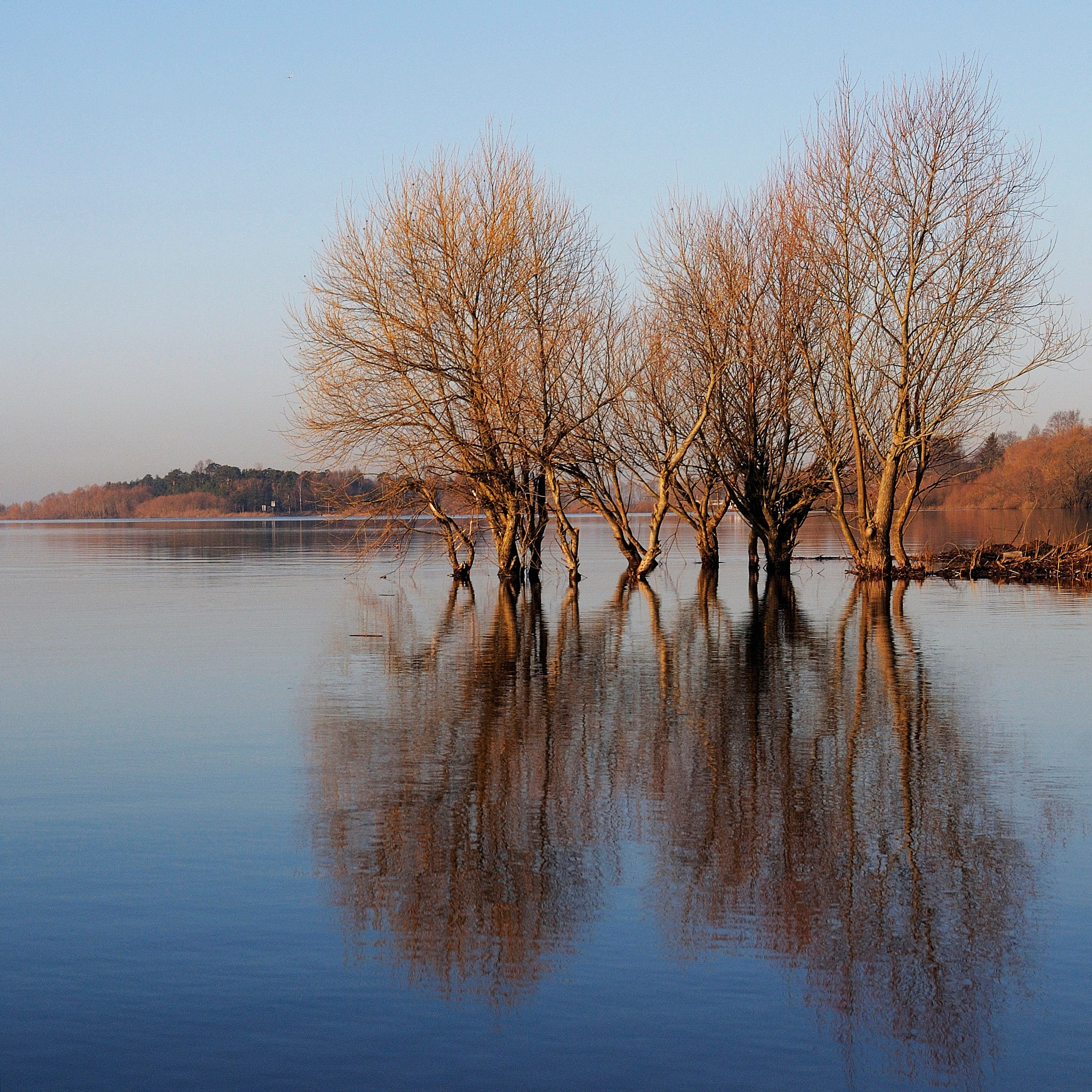 Пейзаж. Фотограф и видеооператор из Москвы Алексей Черкасов