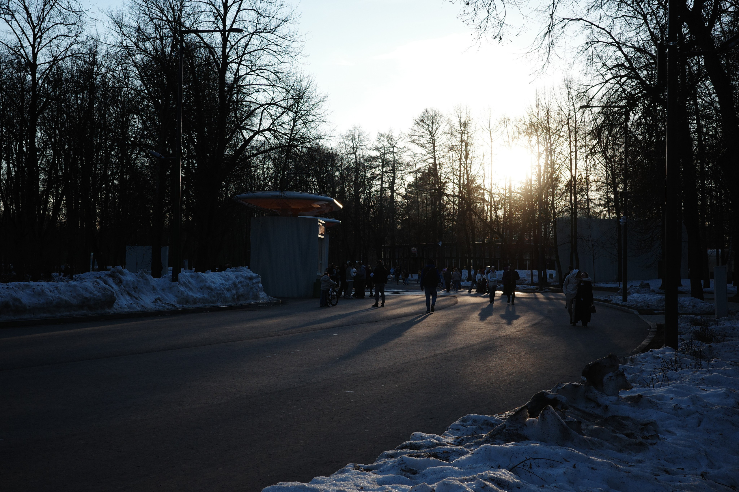 #44: Парк «Сокольники» / март 2026. Проект «Фотокладовка»: блог уличной фотографии в формате street photo