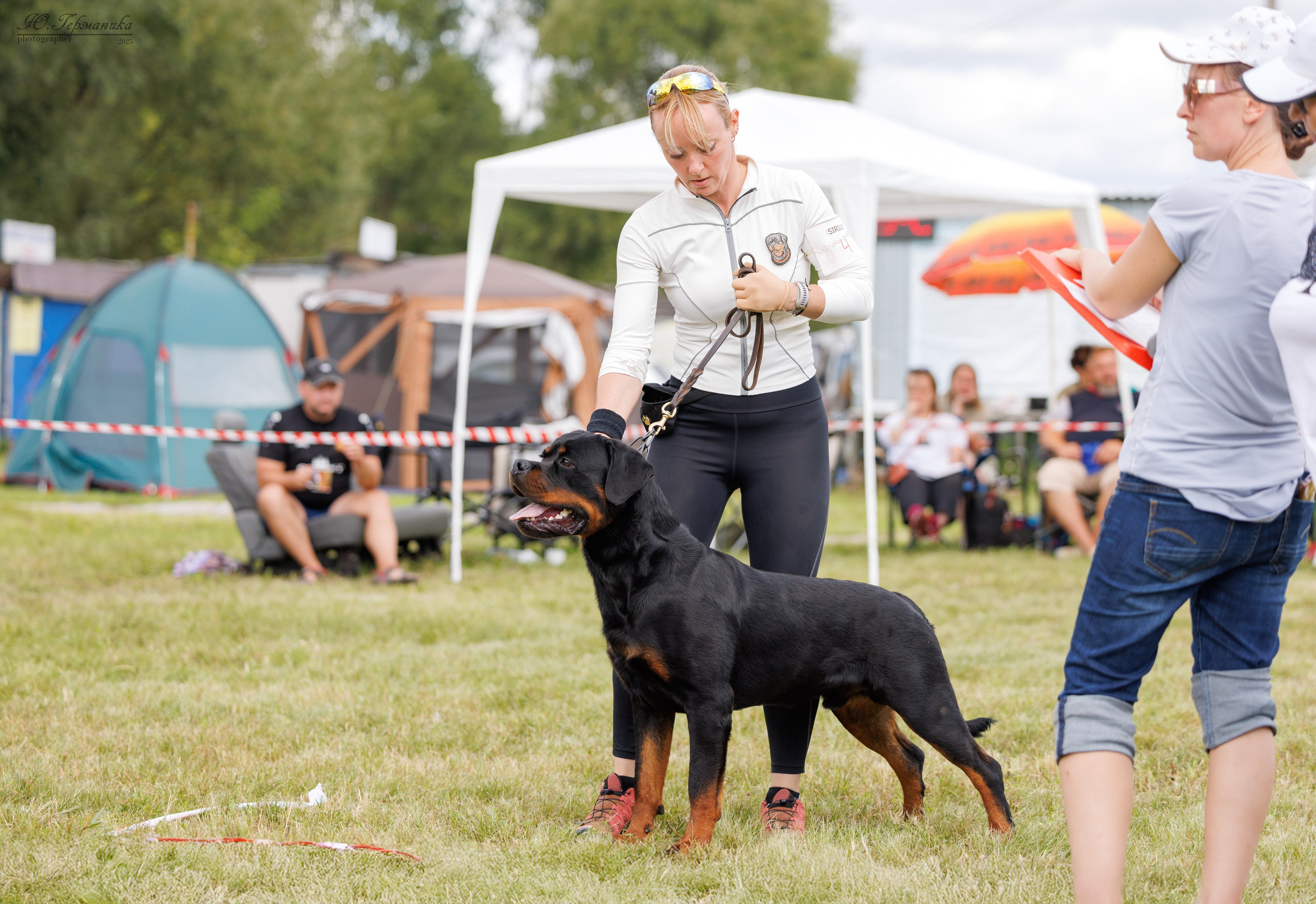Рязань 2хмоно ротвейлеры 16-17.08.2025. Фотограф-анималист Юлия Германика
