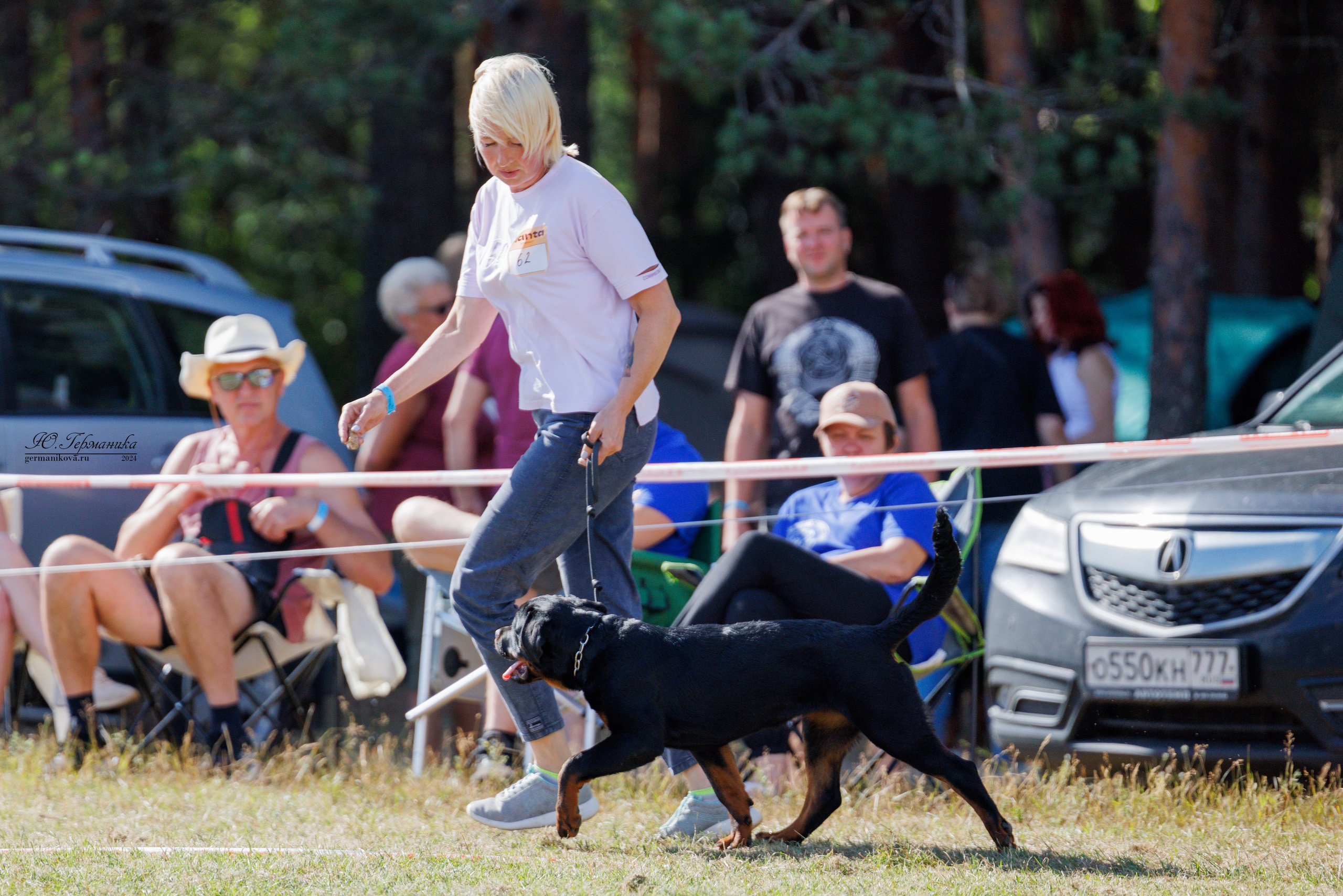 ПК и КЧК ротвейлеры Тверь 6-7.07.2024. Фотограф-анималист Юлия Германика