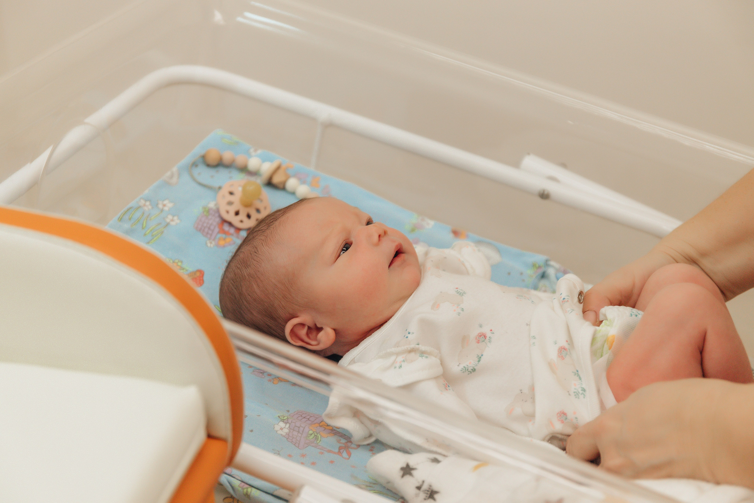 Выписка Варвары. Свадебный и семейный фотограф Пушкин Царское Село СПБ Питер Санкт-Петербург и Рязань Ольга Козлова