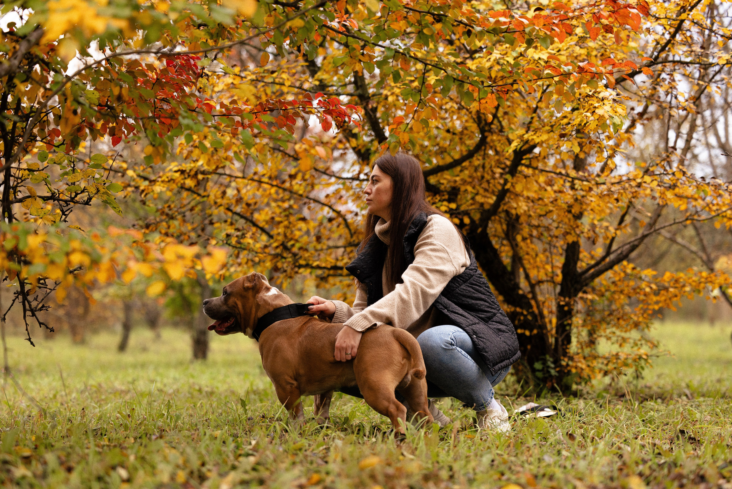 Алена и Тор. Фотограф и видеограф анималист Аганина Дарья