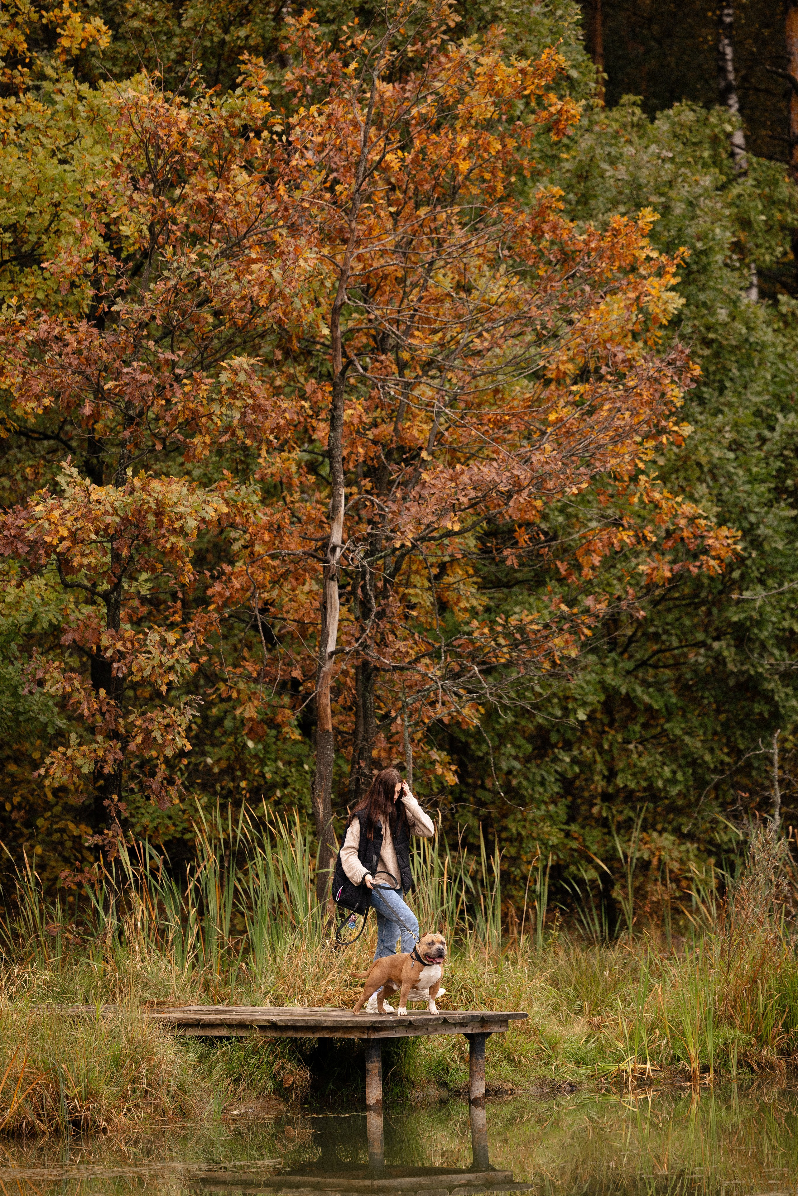 Алена и Тор. Фотограф и видеограф анималист Аганина Дарья