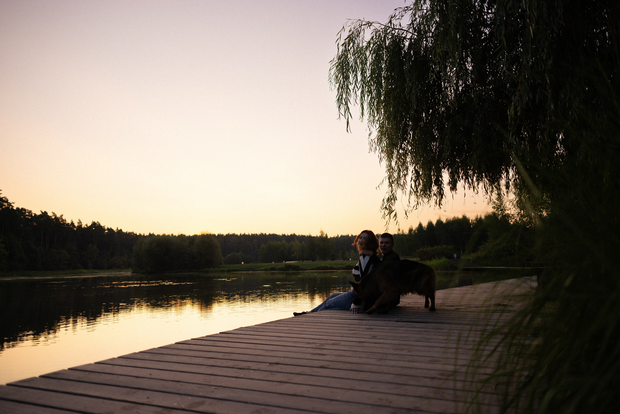 Алена, Матвей, Фанни и Фрея. Фотограф и видеограф анималист Аганина Дарья