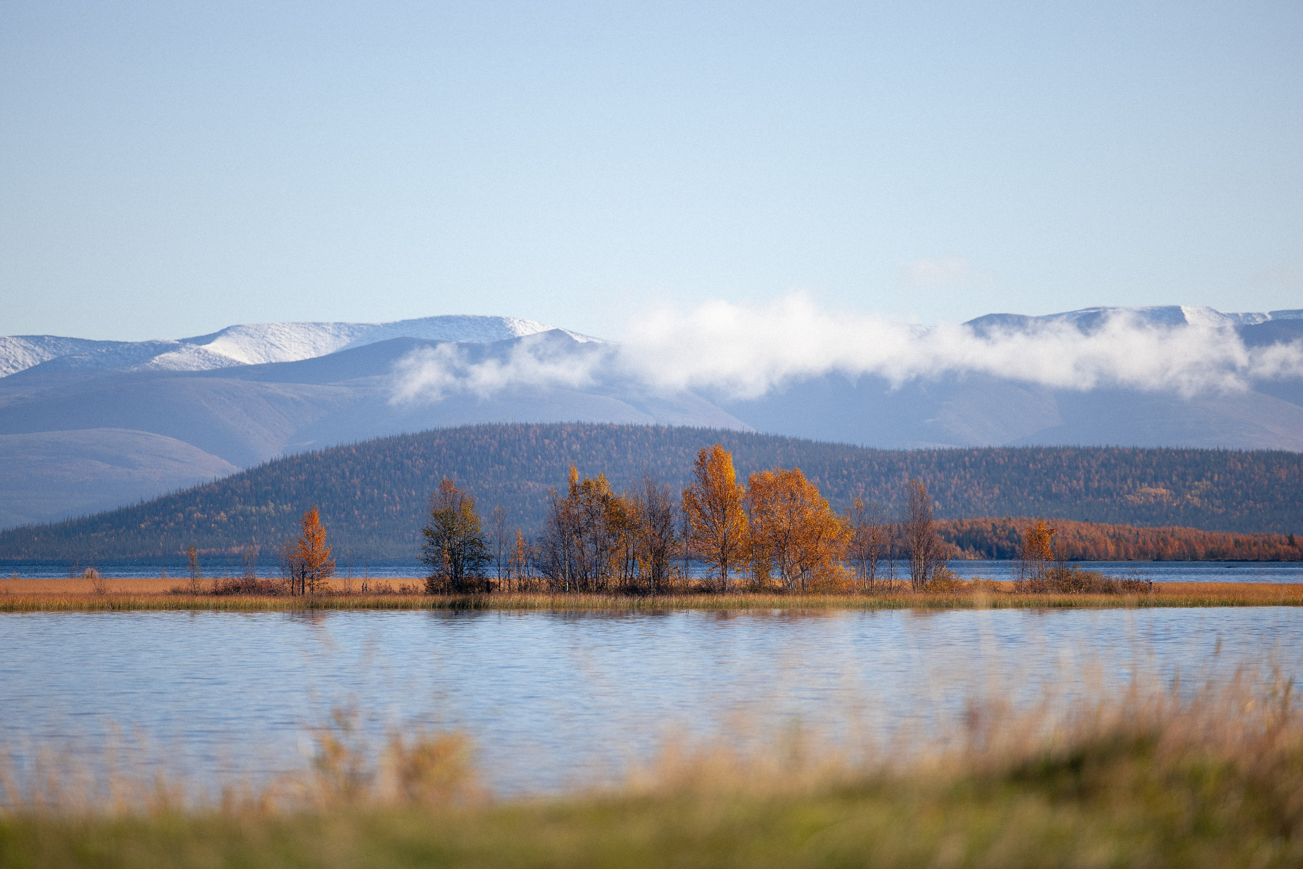 Кольский. Фотограф и видеограф анималист Аганина Дарья