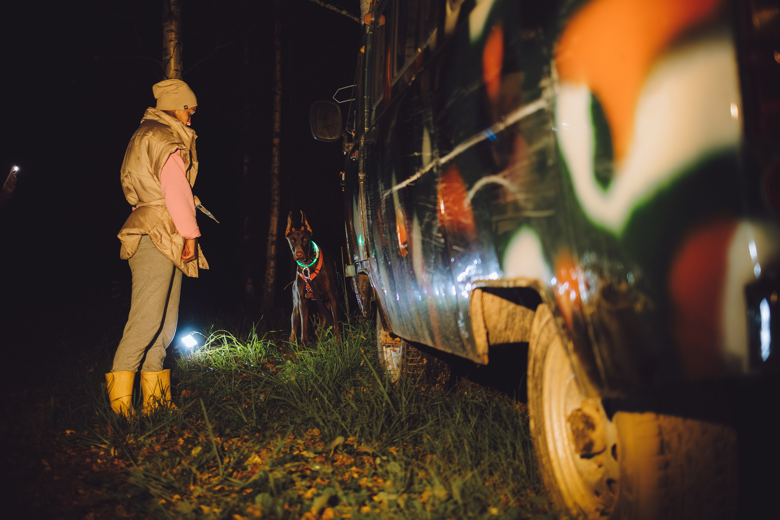 Выездной дог-тренинг от школы «Шерсть имею», Тованово