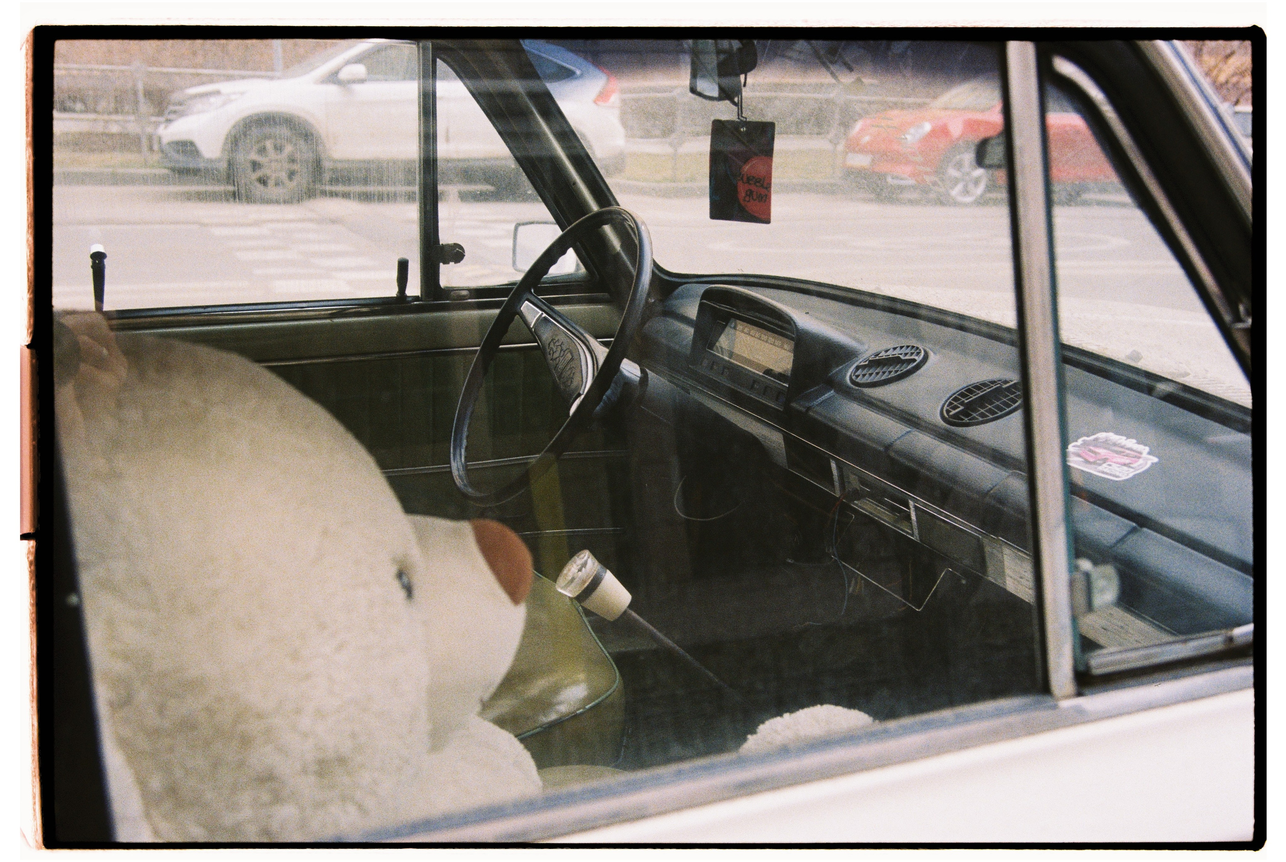 CARS. ANNA — PHOTOGRAPHER