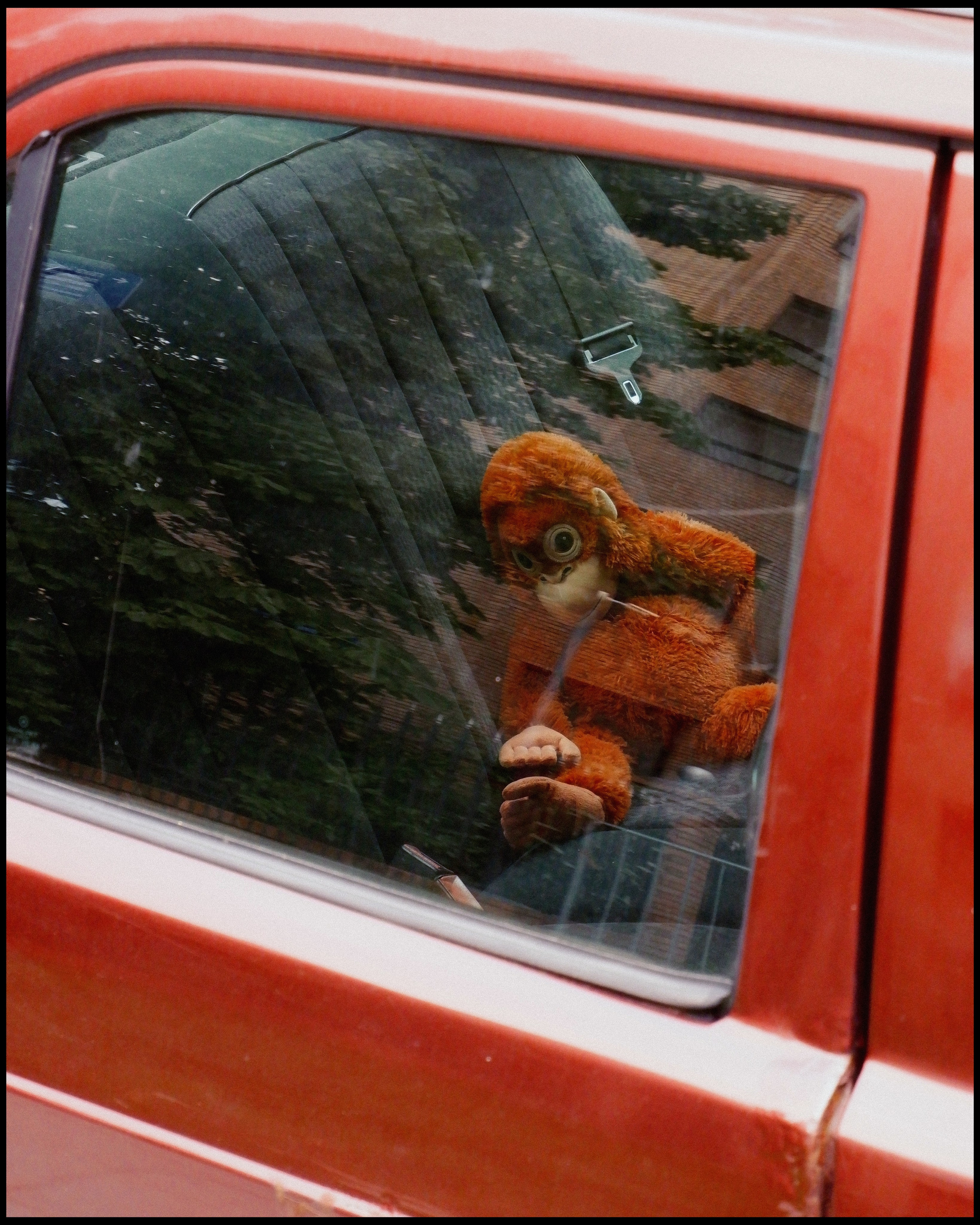 CARS. ANNA — PHOTOGRAPHER