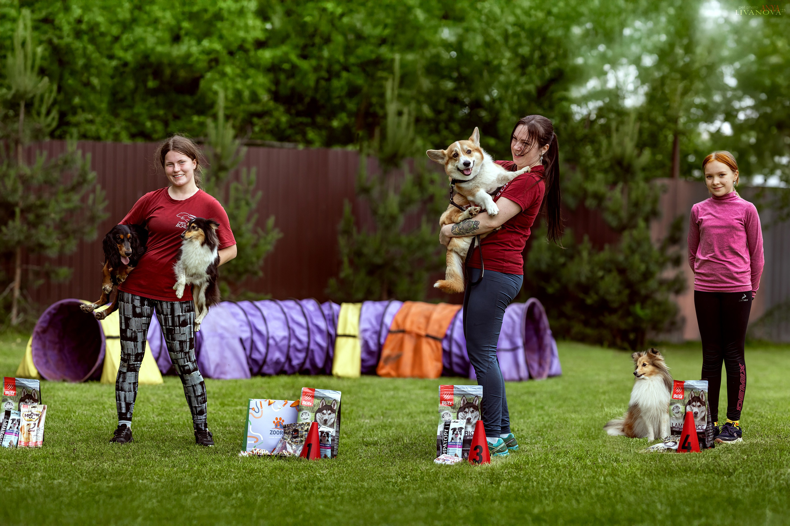 Аджилити Рыбинск. Фотограф анималист Аня Ливанова | Рыбинск