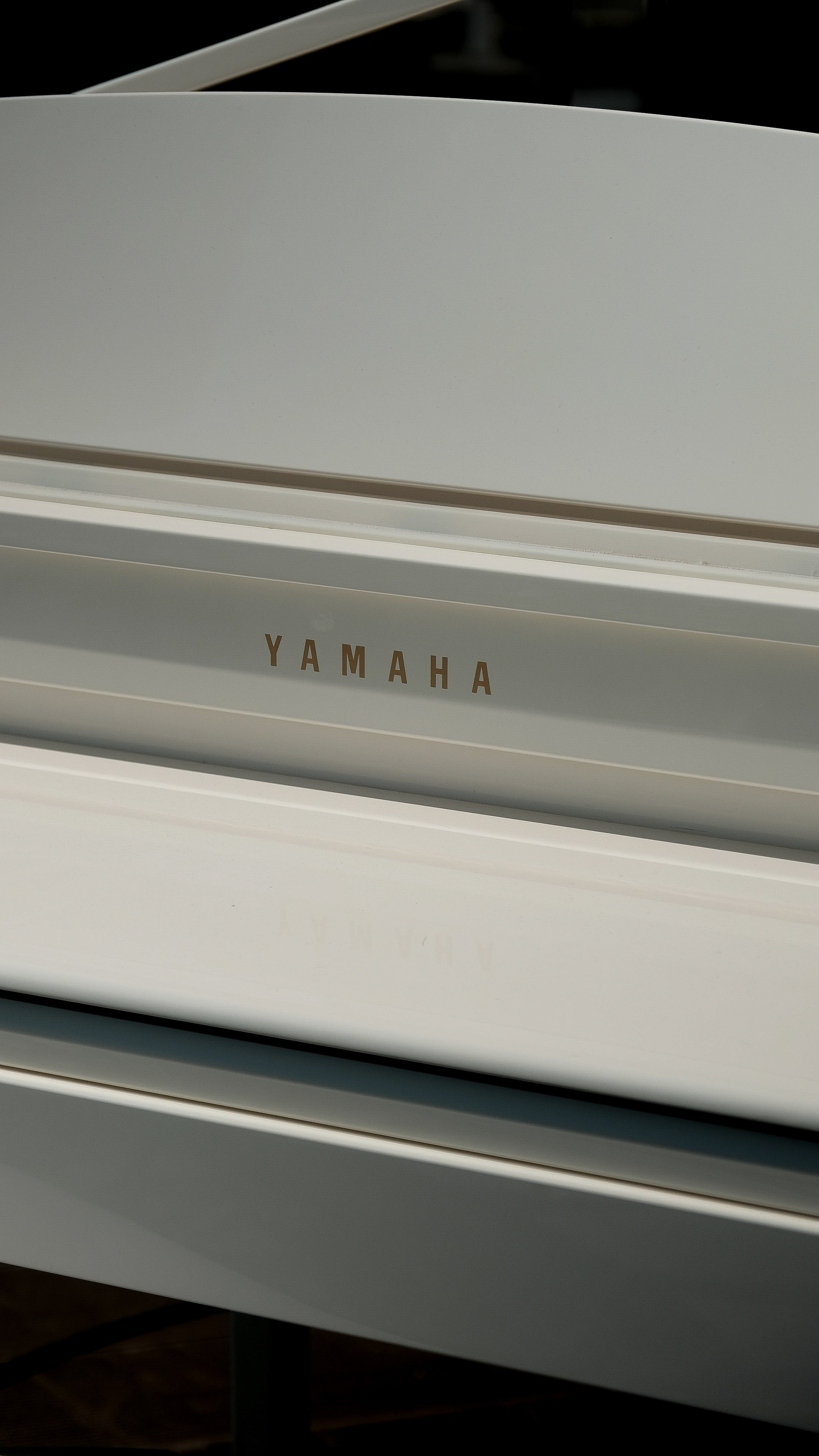 Морской. Свадебный Видеограф Фотограф в Сочи