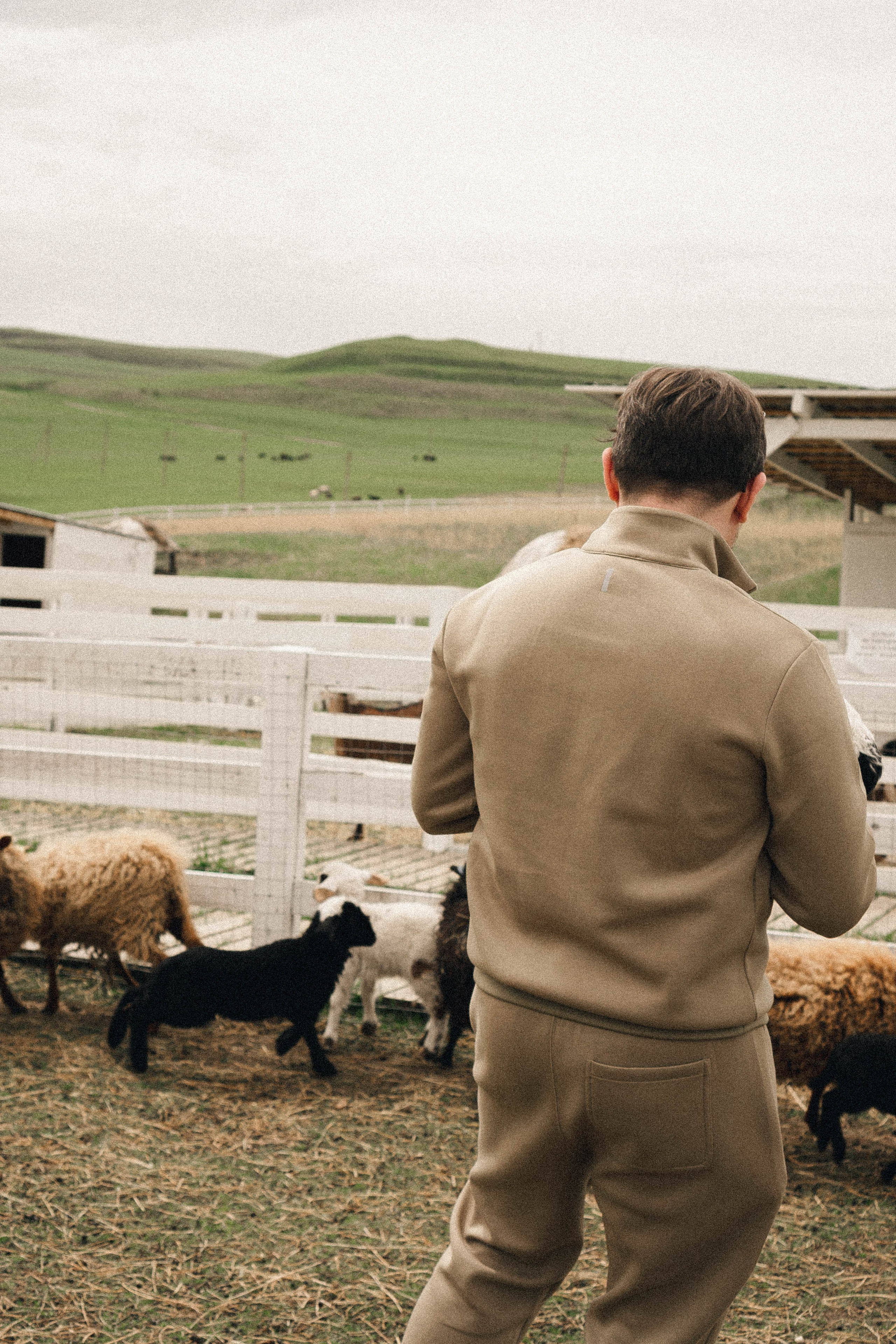 Ферма Альпак. Профессиональный фотограф, Санкт-Петербург — Виктория Богомолова