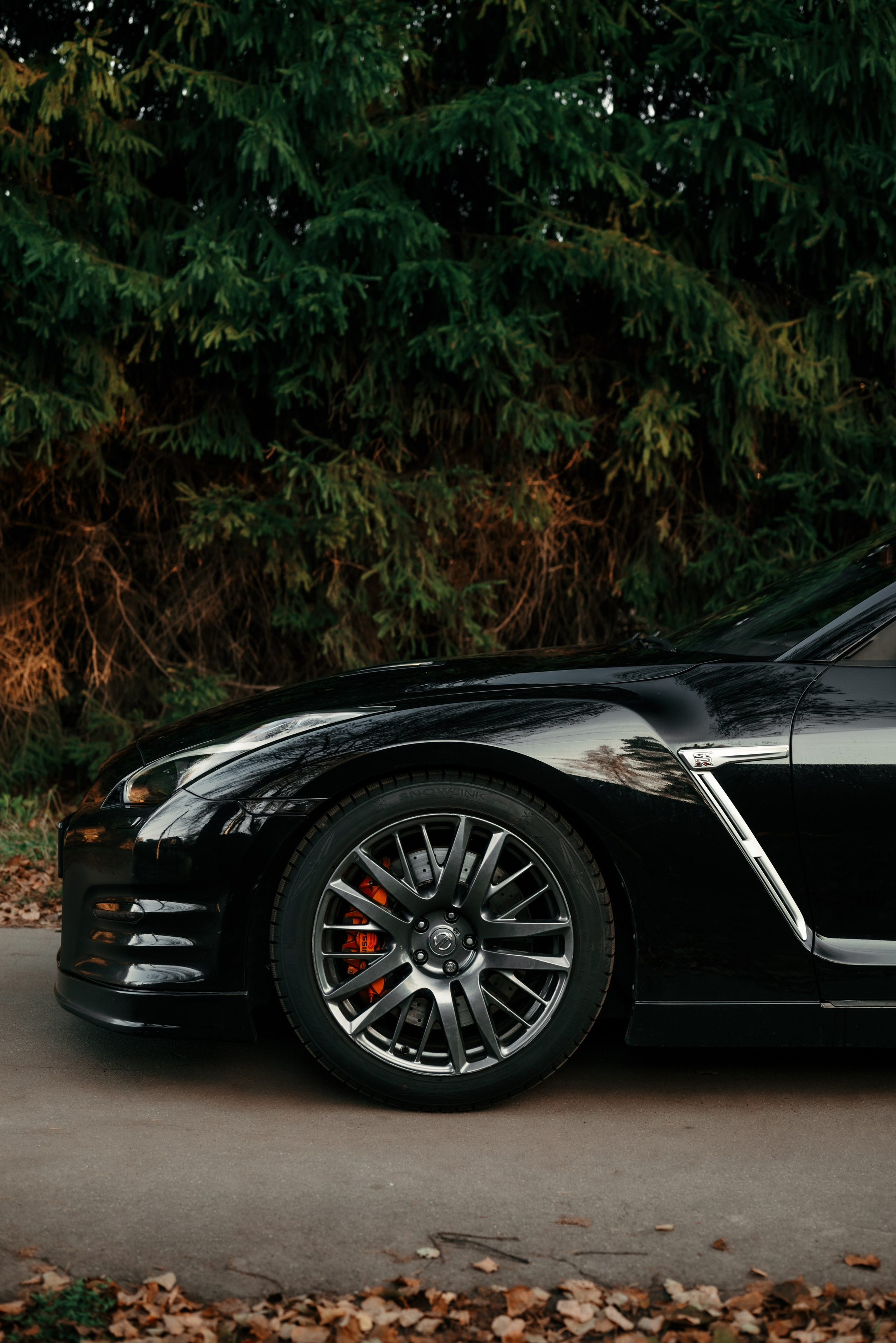 Nissan GT-R35 autumn vibe. DeLorein