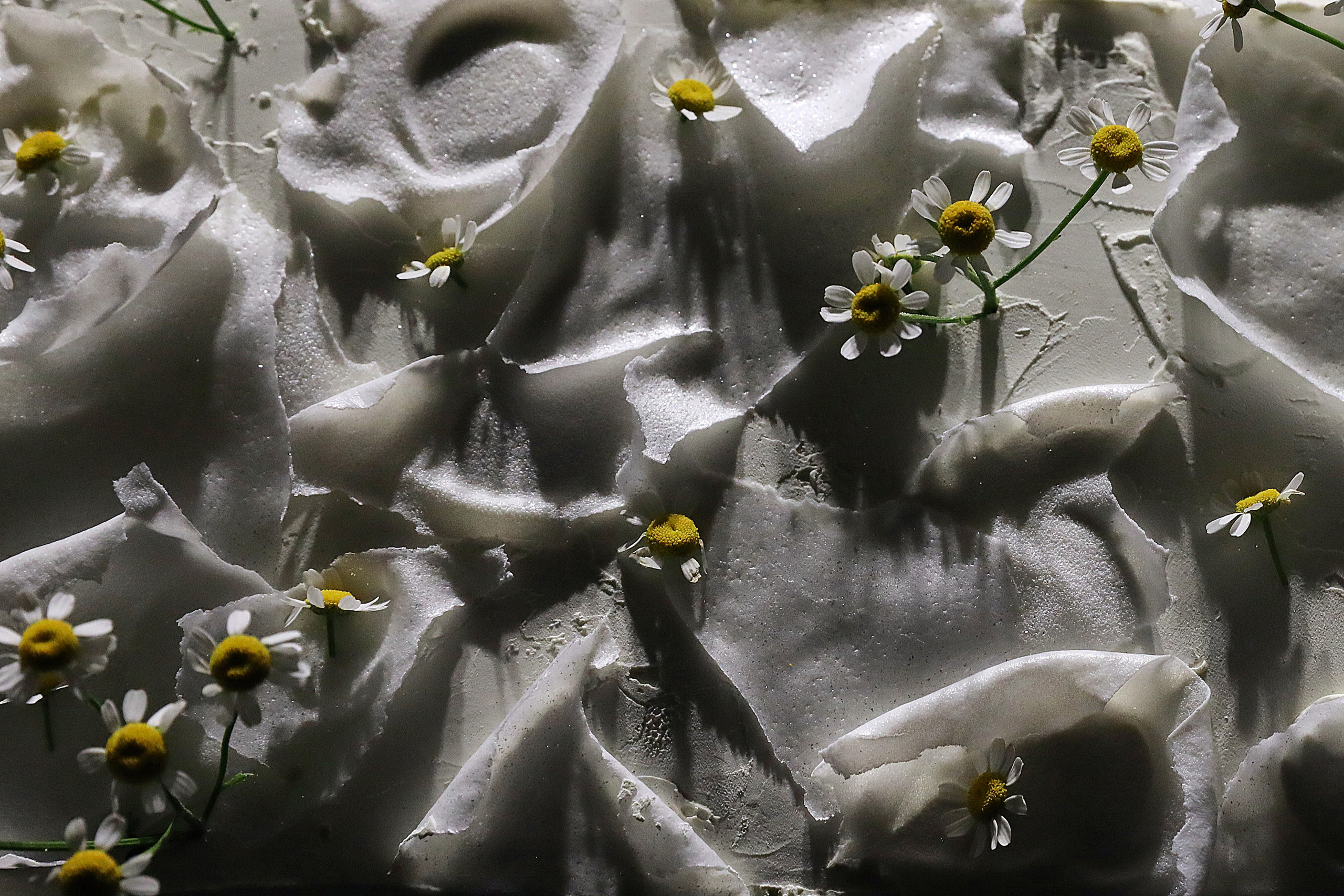 I & E. Anastasia Jes